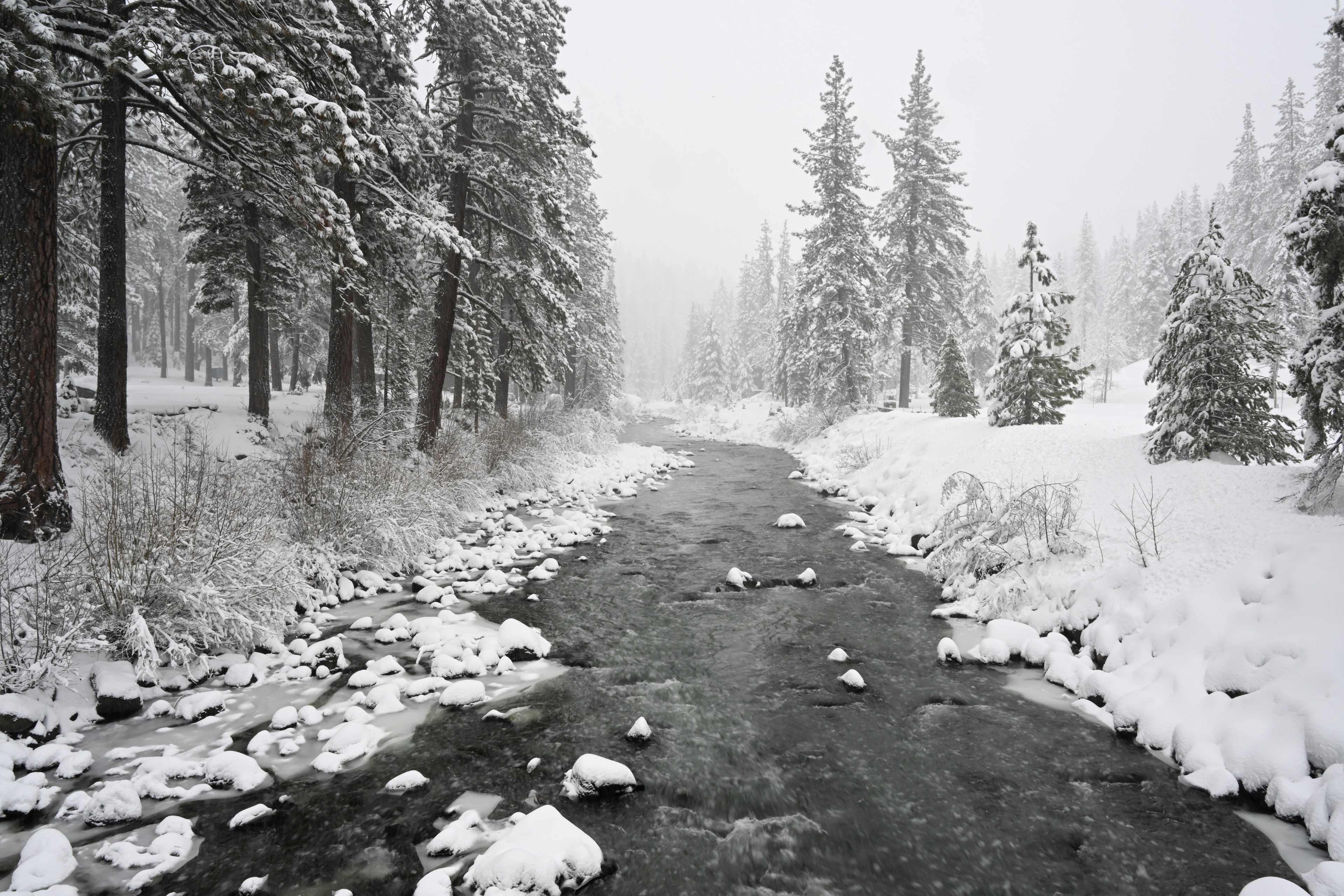 Snow blankets a river flanked by trees