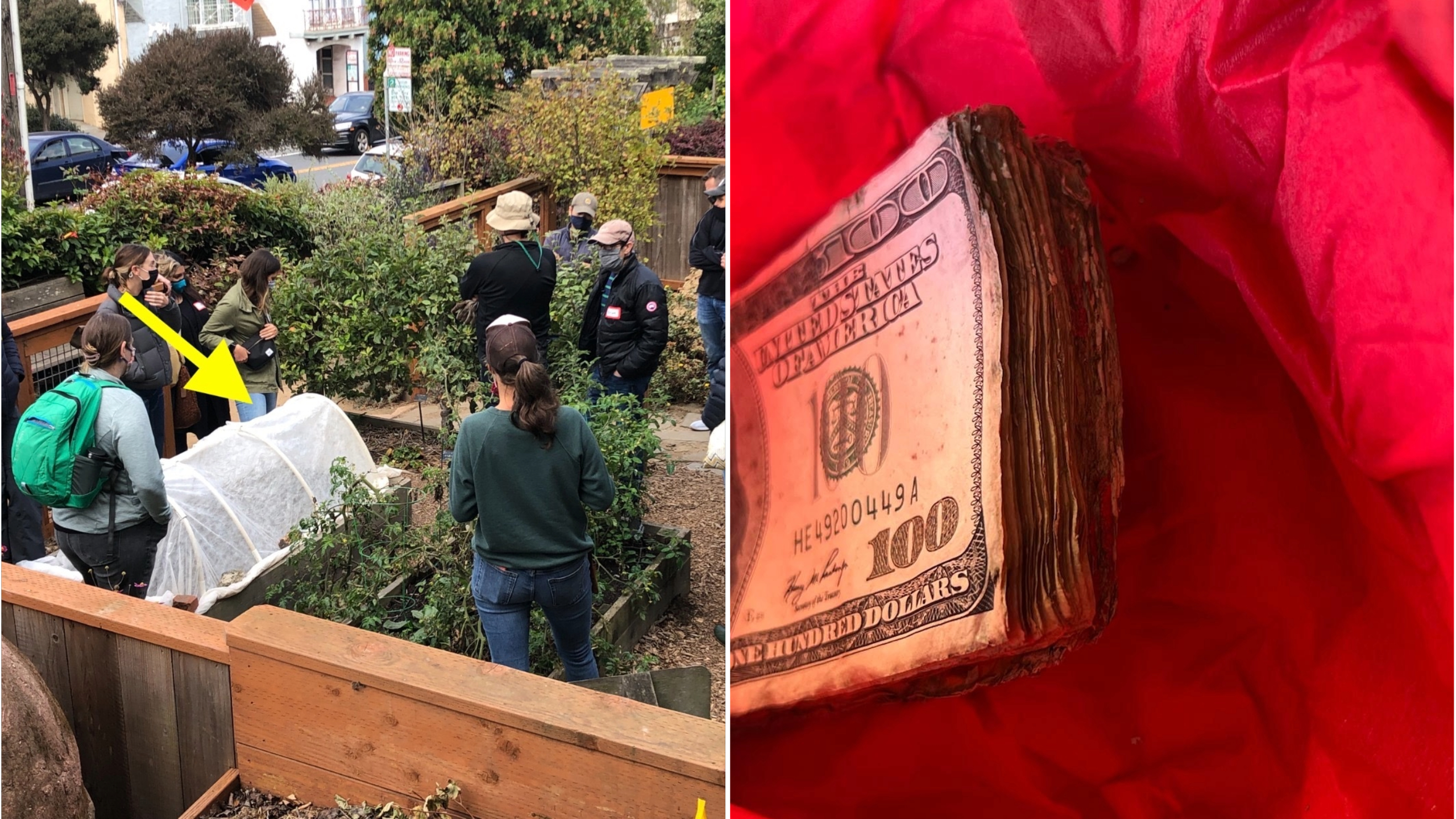 Group gardening in an urban setting, and a stack of aged $100 bills on a red background.
