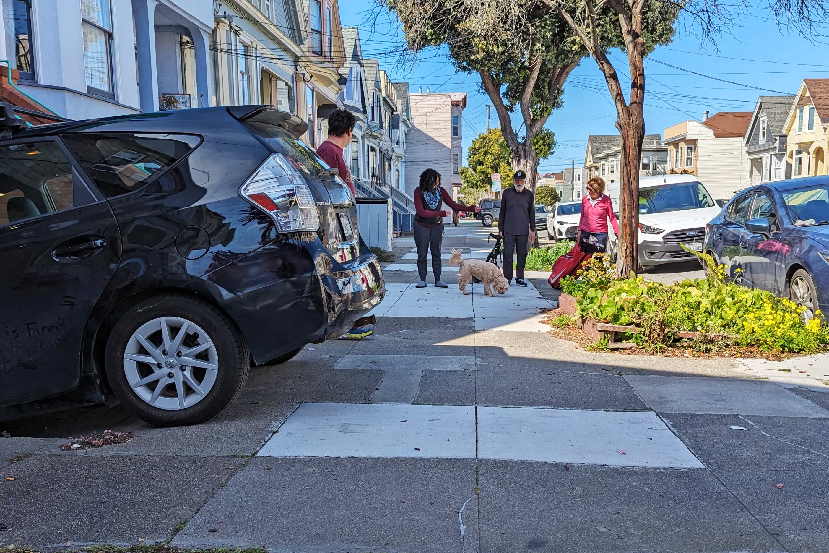A sunny street scene with parked cars, three people, and a dog walking on the sidewalk, surrounded by houses with greenery.