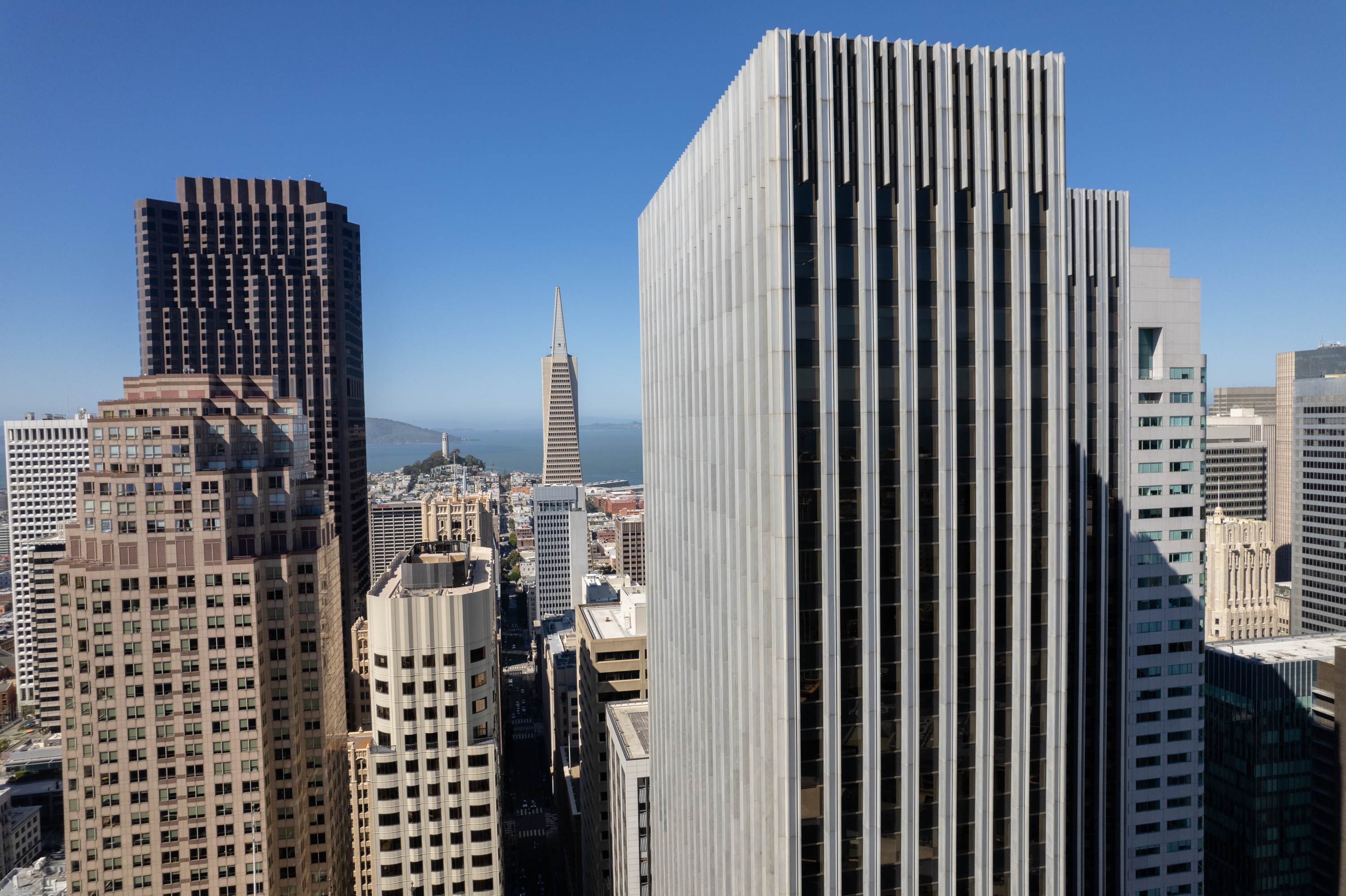 A cityscape with skyscrapers under a clear blue sky, featuring the distinct Transamerica Pyramid in the distance.