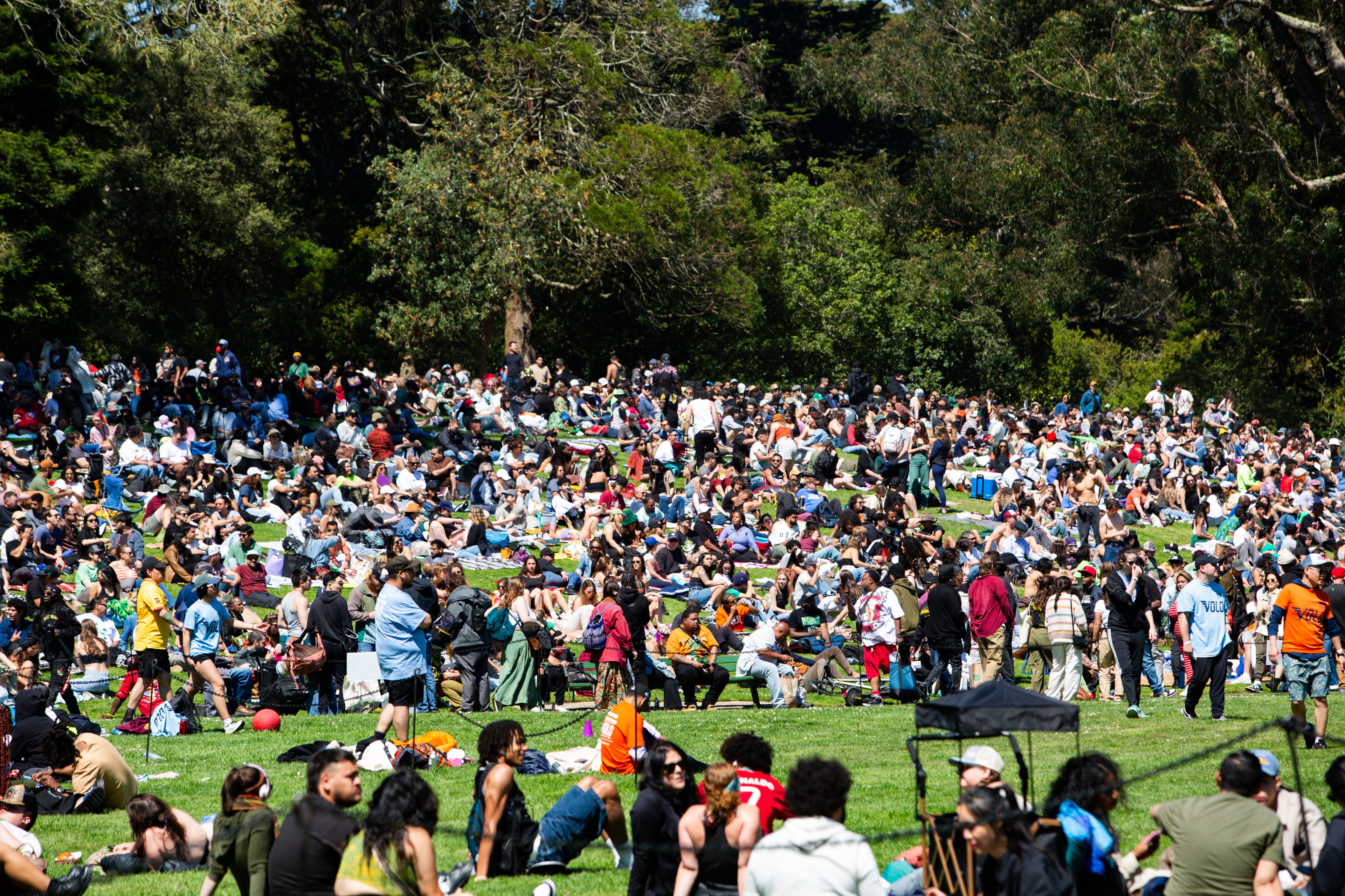 a huge crowd of people on blankets on Hippie Hill in Golden Gate Park