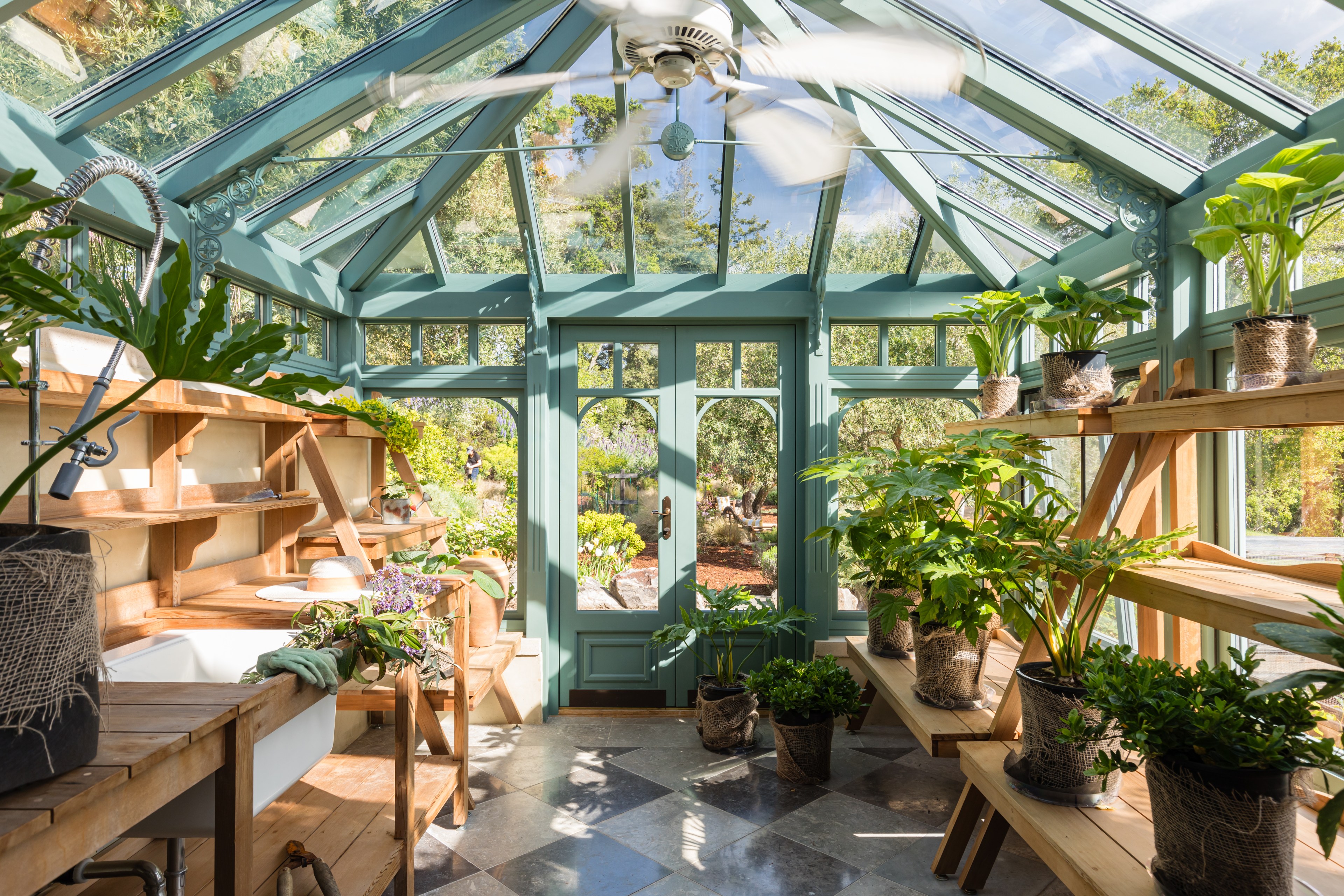 A sunlit conservatory with teal woodwork, filled with green plants, wooden benches, and a ceiling fan.