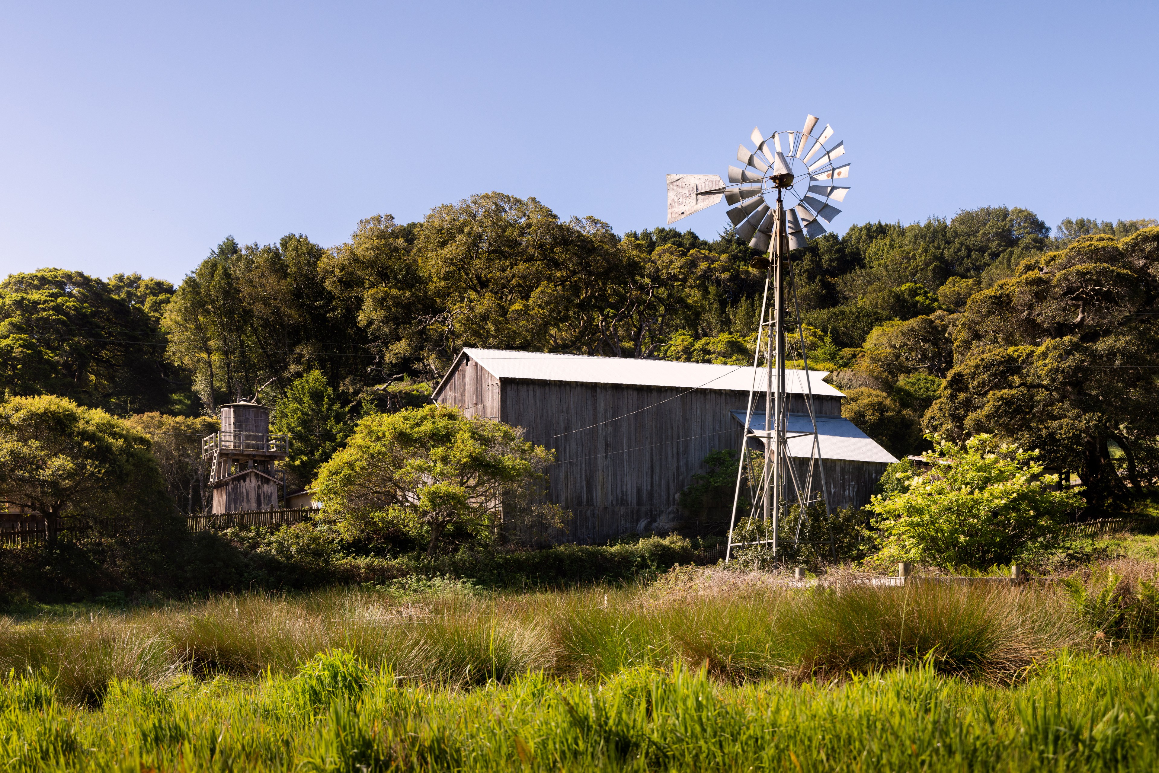A windmill stands before a rustic barn, surrounded by lush greenery and trees under a clear sky.