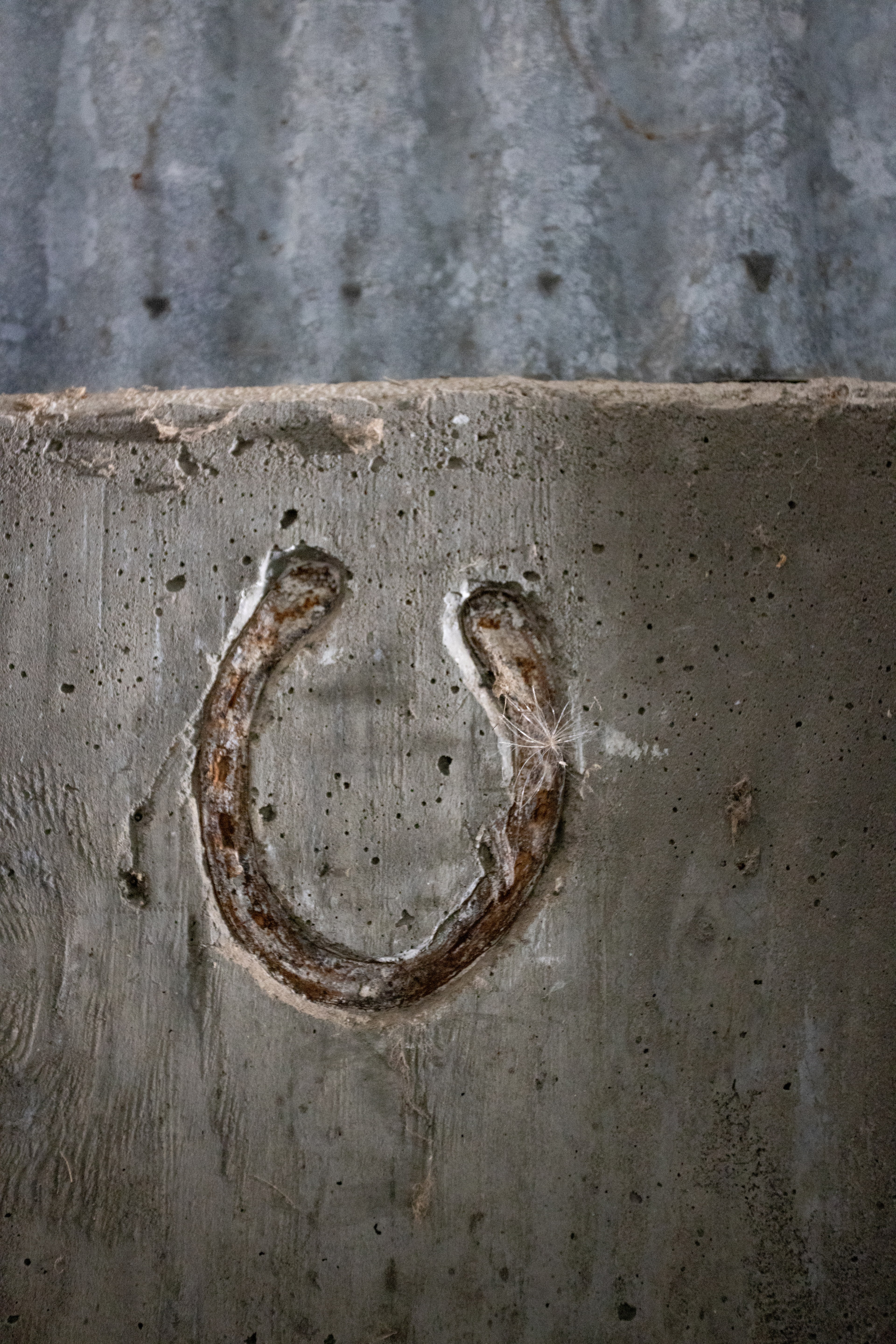 A rusty horseshoe is embedded in a rough concrete wall. The surface has visible texture and a few small cracks, adding a weathered appearance.