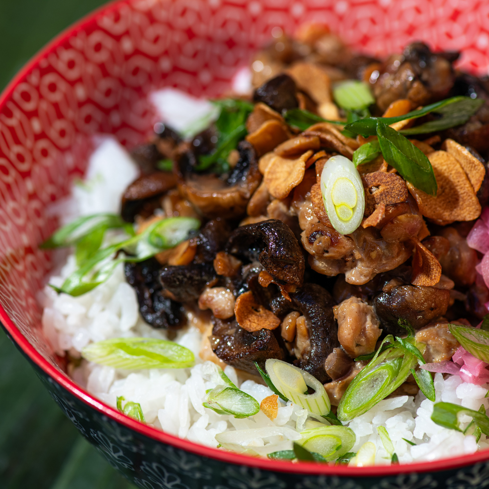 a closeup of a bowl of mushroom tempeh and white rice