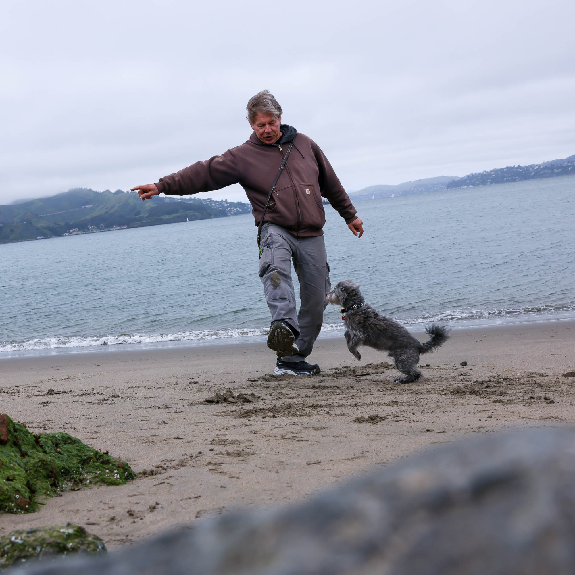 A man plays with his dog on a sandy beach, with hills and overcast skies in the background.