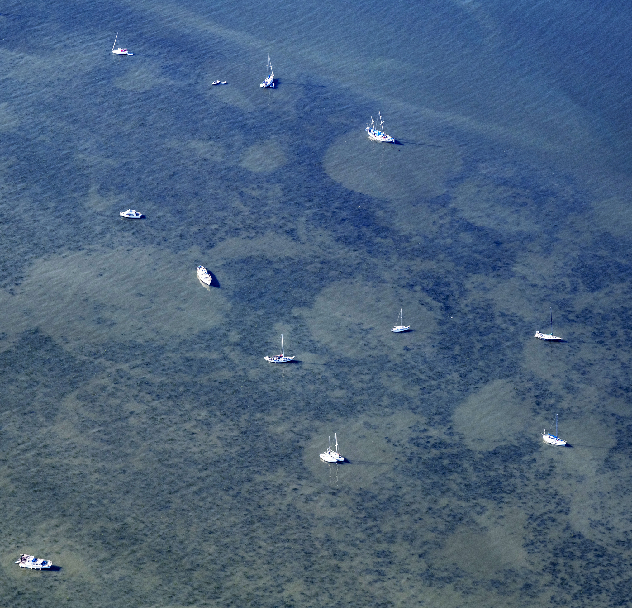 Aerial view of sailboats spread across a shallow blue sea with visible seabed textures.