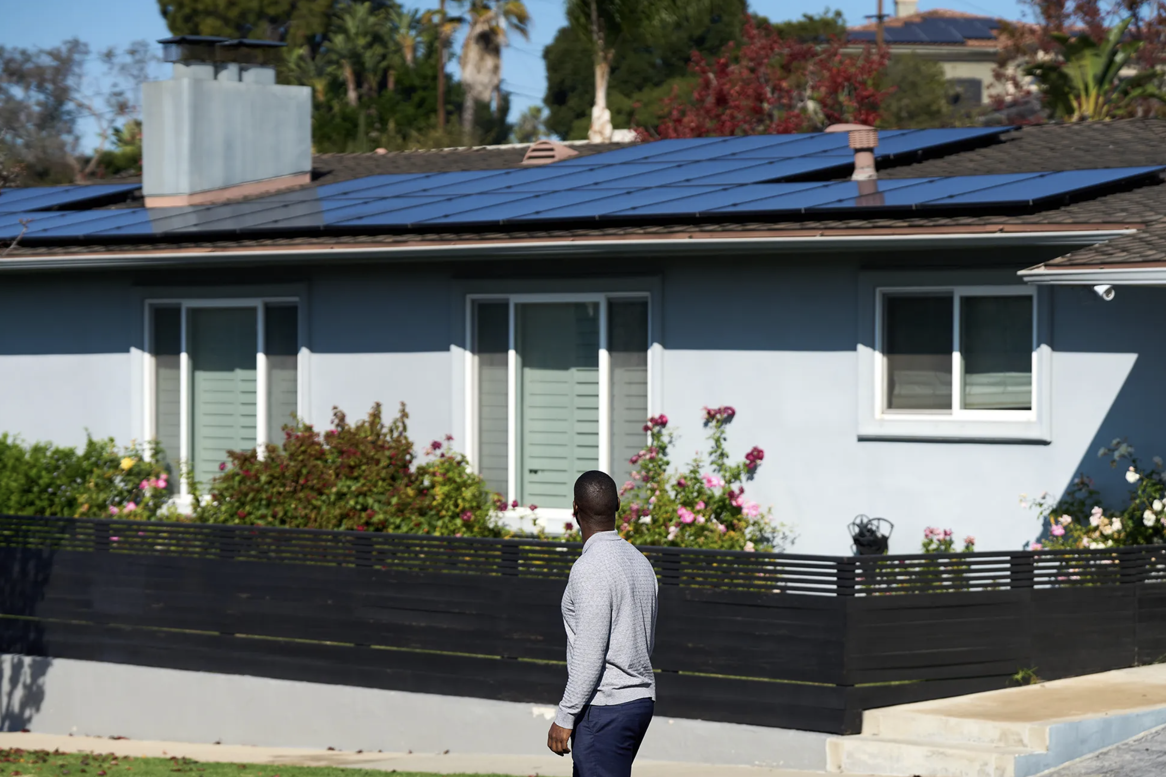 Man looks at solar panels