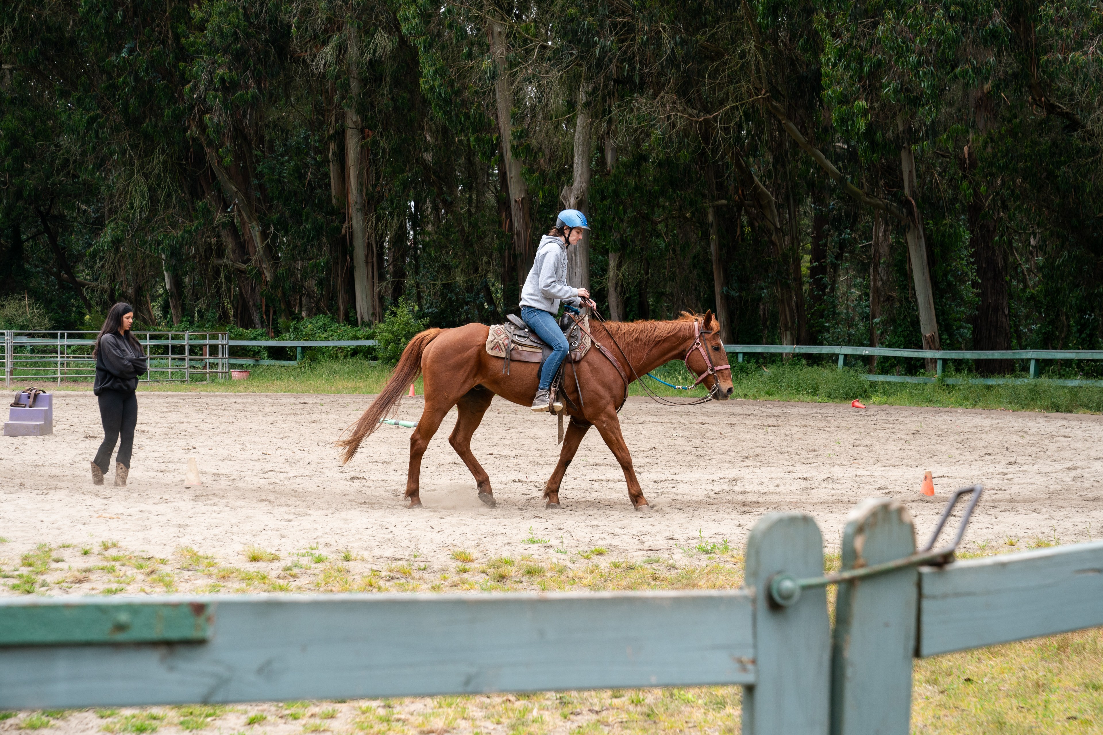 A person in a blue helmet rides a brown horse in a sandy arena, with another person observing, surrounded by lush green trees.