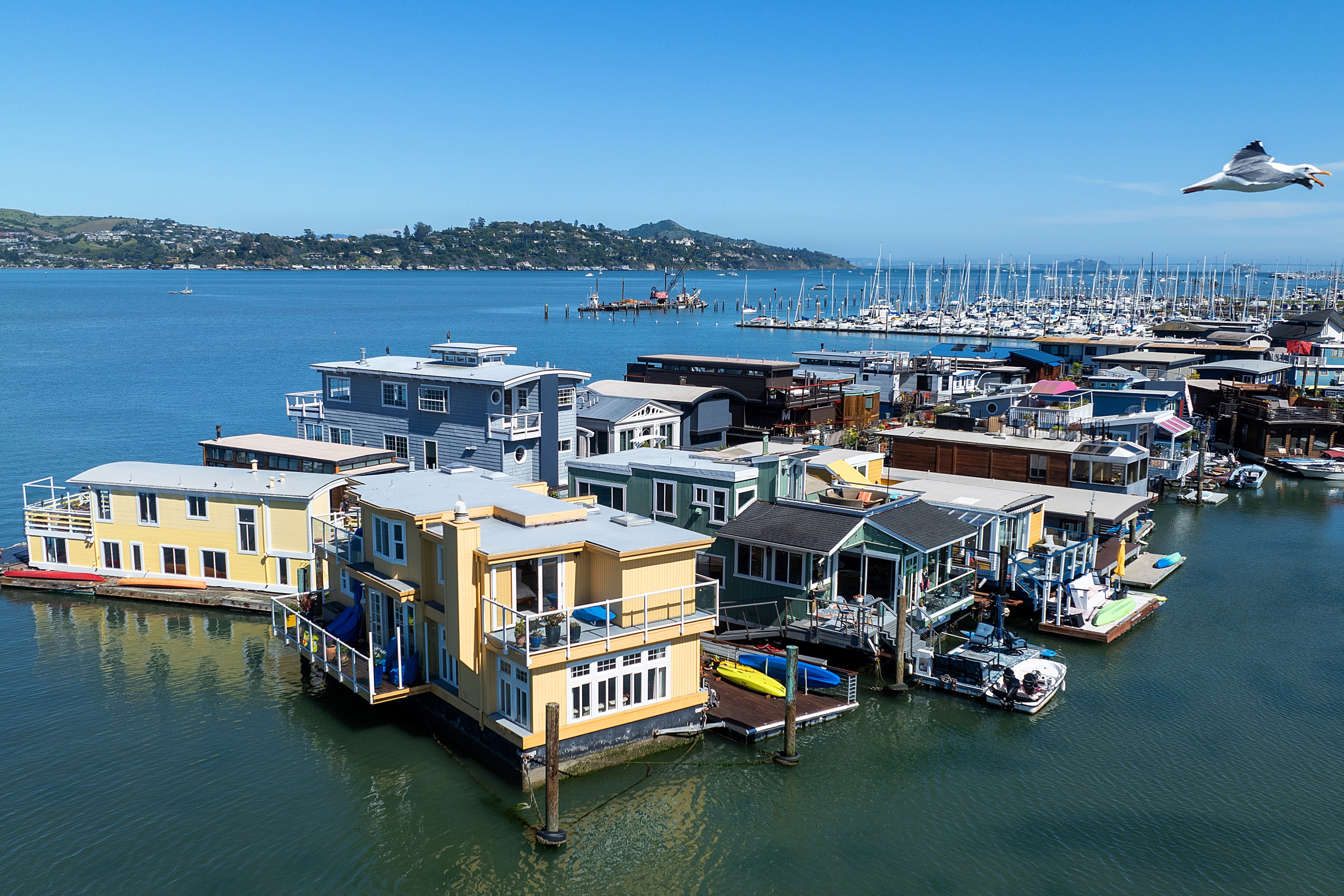 Colorful floating houses by a marina with boats, clear sky, and a seagull flying.