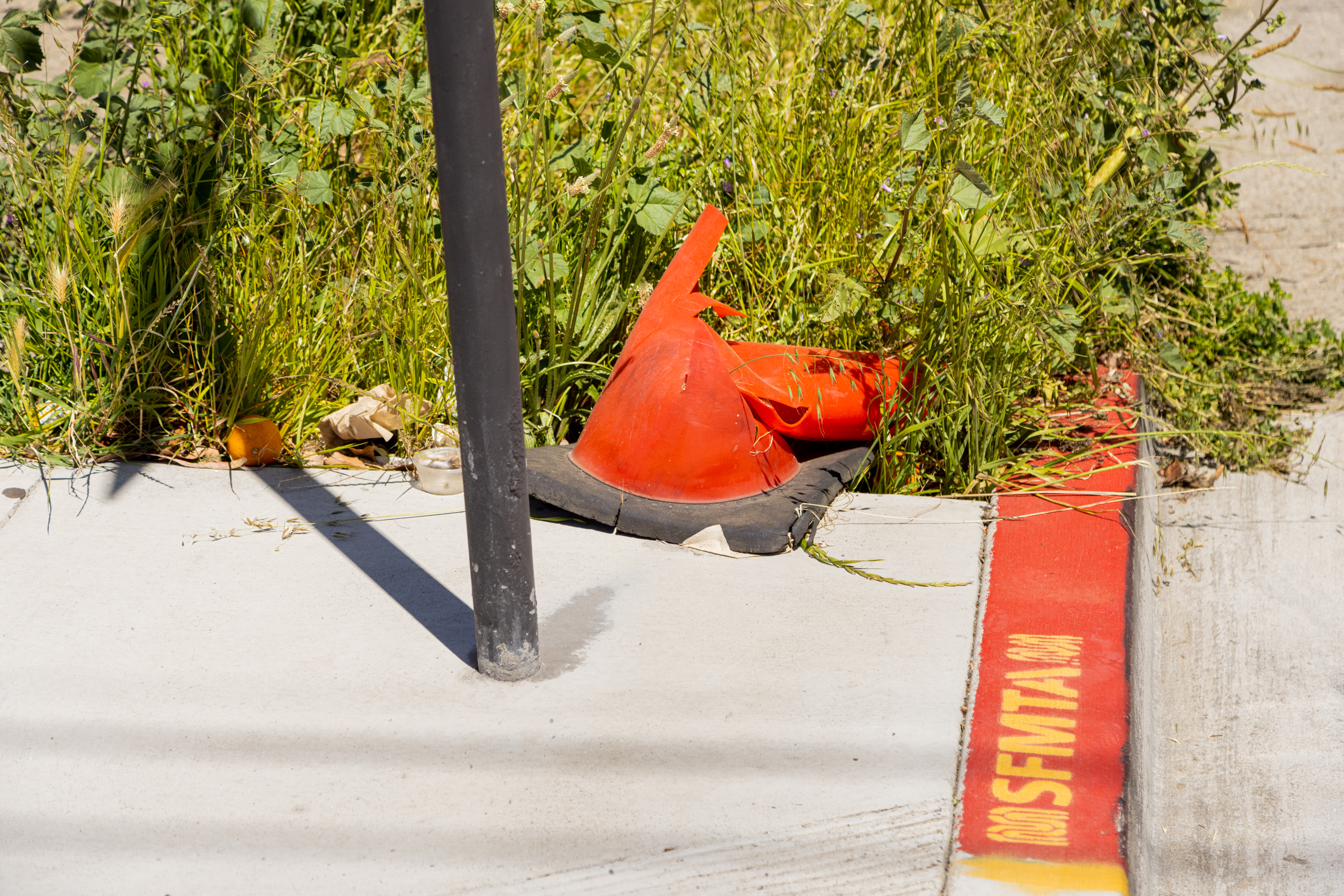 A crushed orange traffic cone lies beside a pole, surrounded by overgrown grass and debris.
