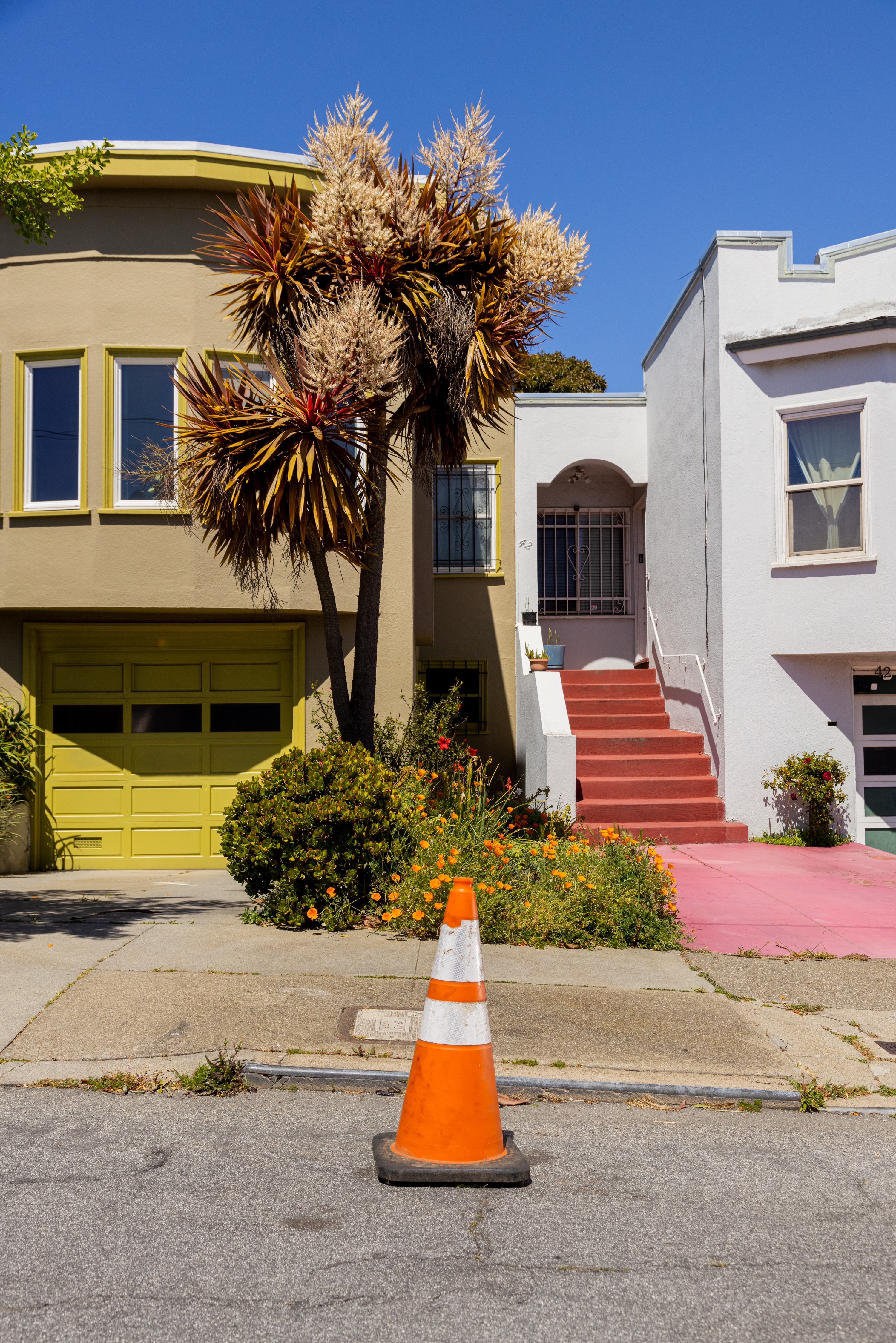 Two houses with distinct colors flank a traffic cone; flowers and a palm tree adorn the sunny scene.
