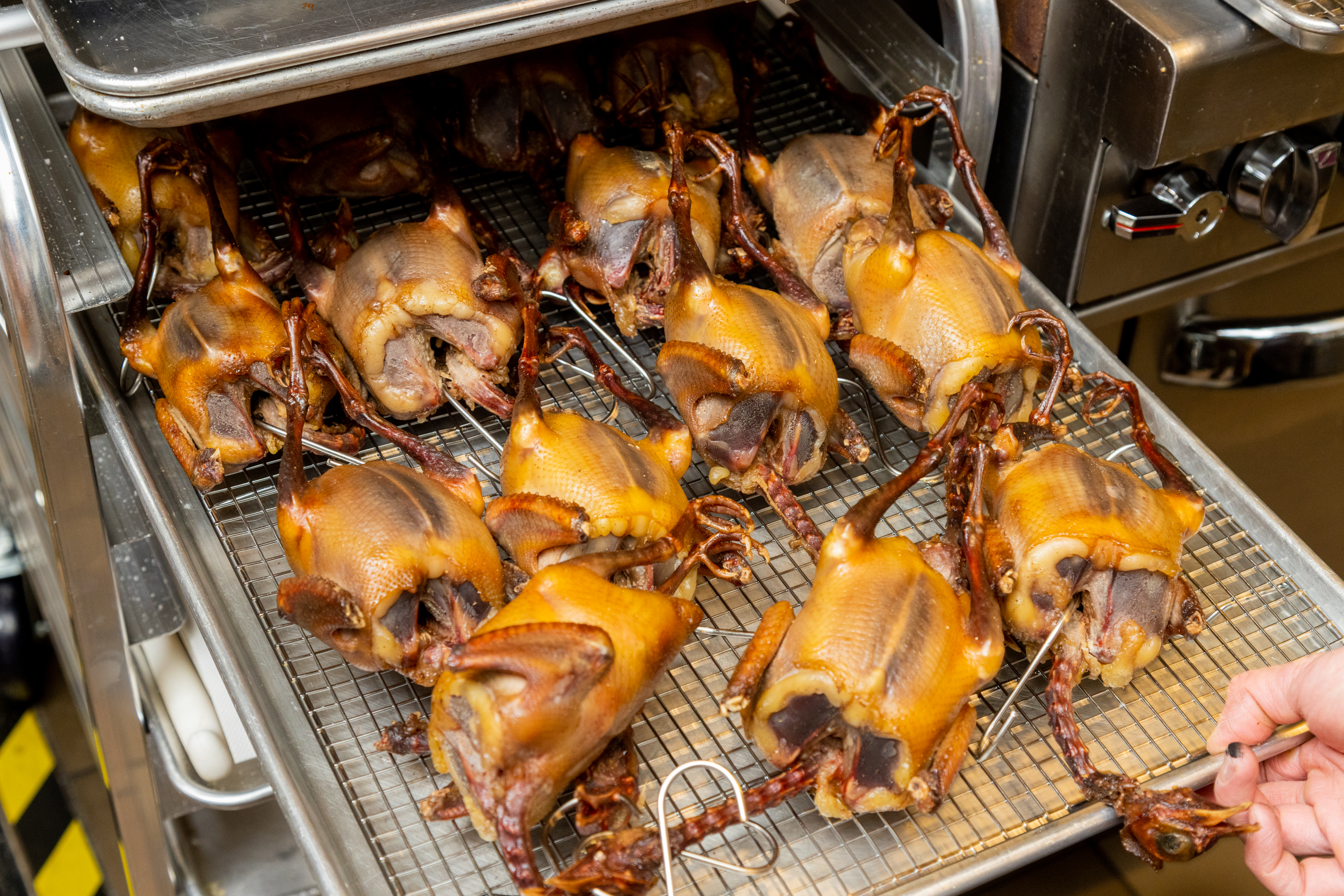 Rows of roasted squab on racks in a metal oven ready for frying.