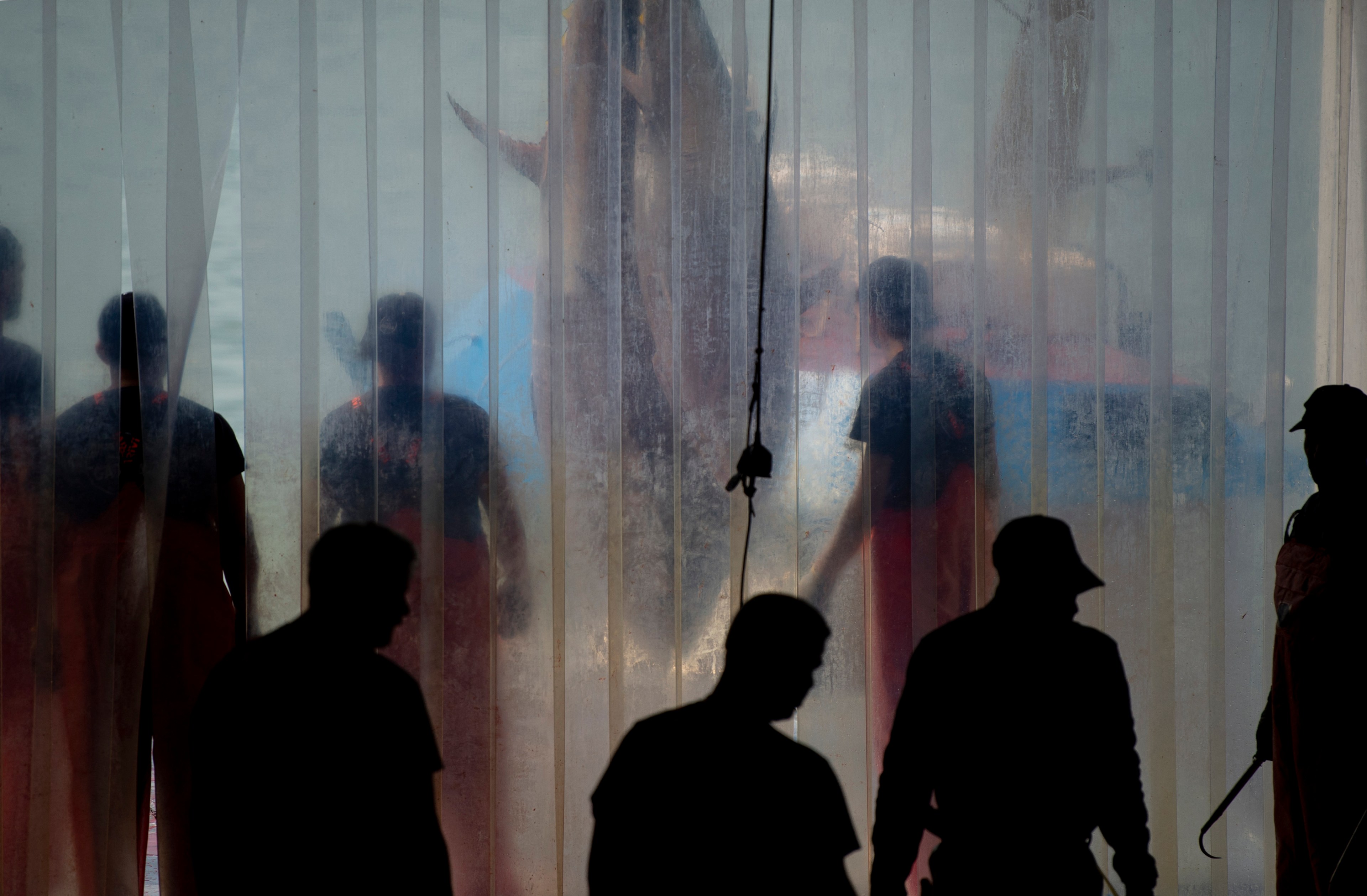 Silhouetted figures stand behind and in front of a transparent plastic curtain, obscuring their features; a large fish or marine creature is visible in the background.