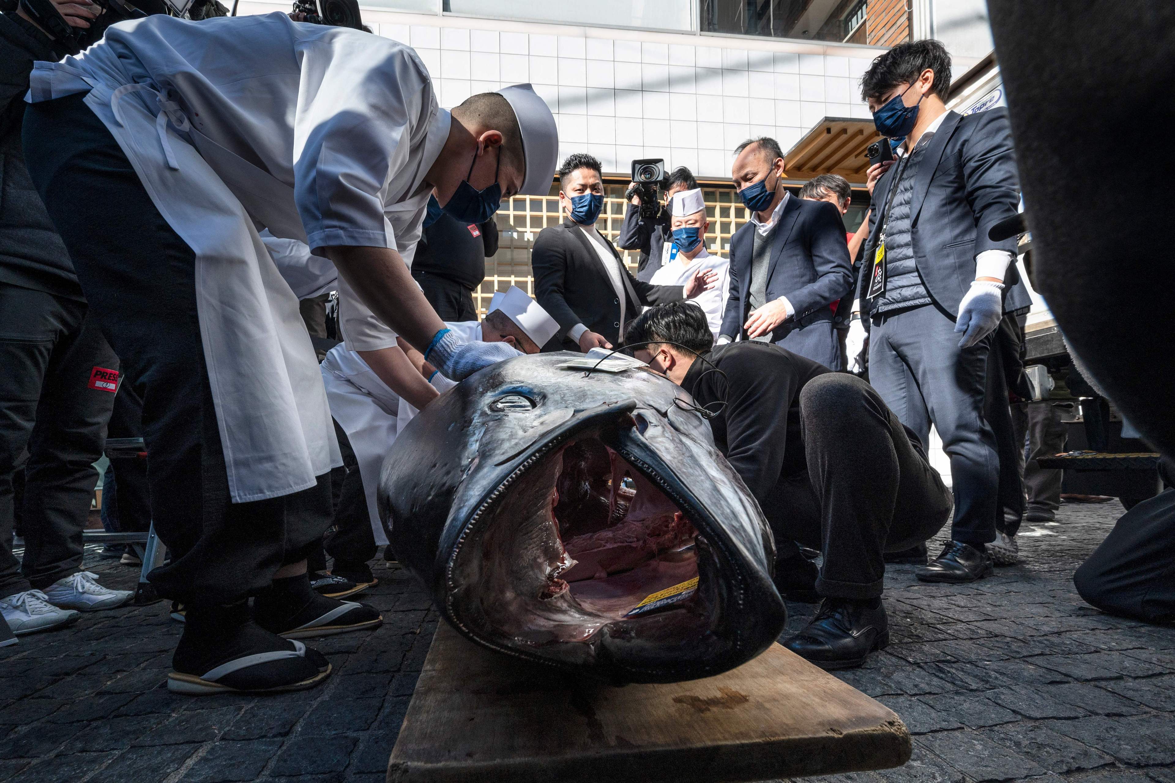 A group of masked people, including chefs, are gathered around a large fish on a wooden surface, preparing it for cutting or inspection in an outdoor setting.