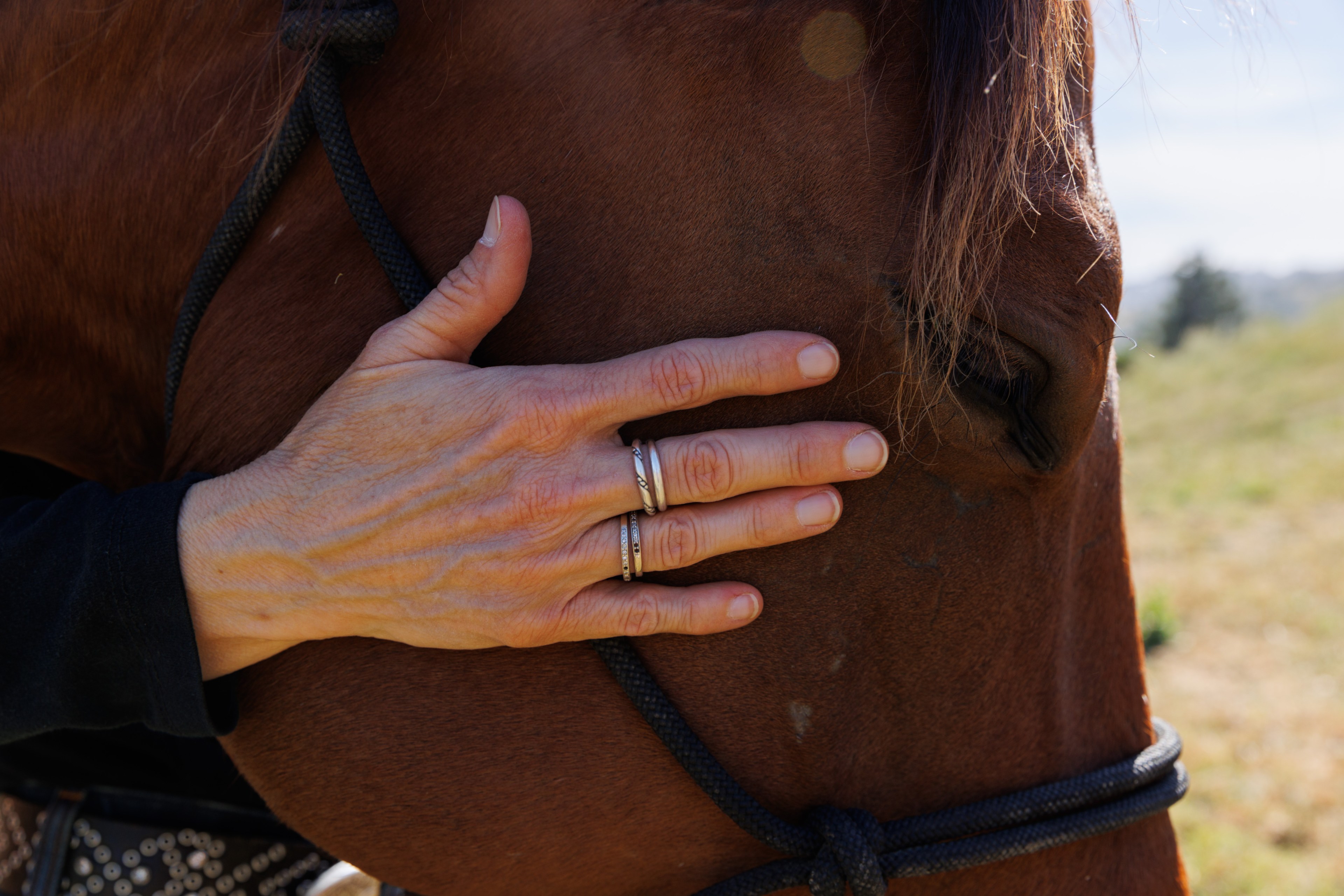 A person wearing silver rings rests their hand gently on the face of a brown horse, just below its eye, while holding a black rope halter.