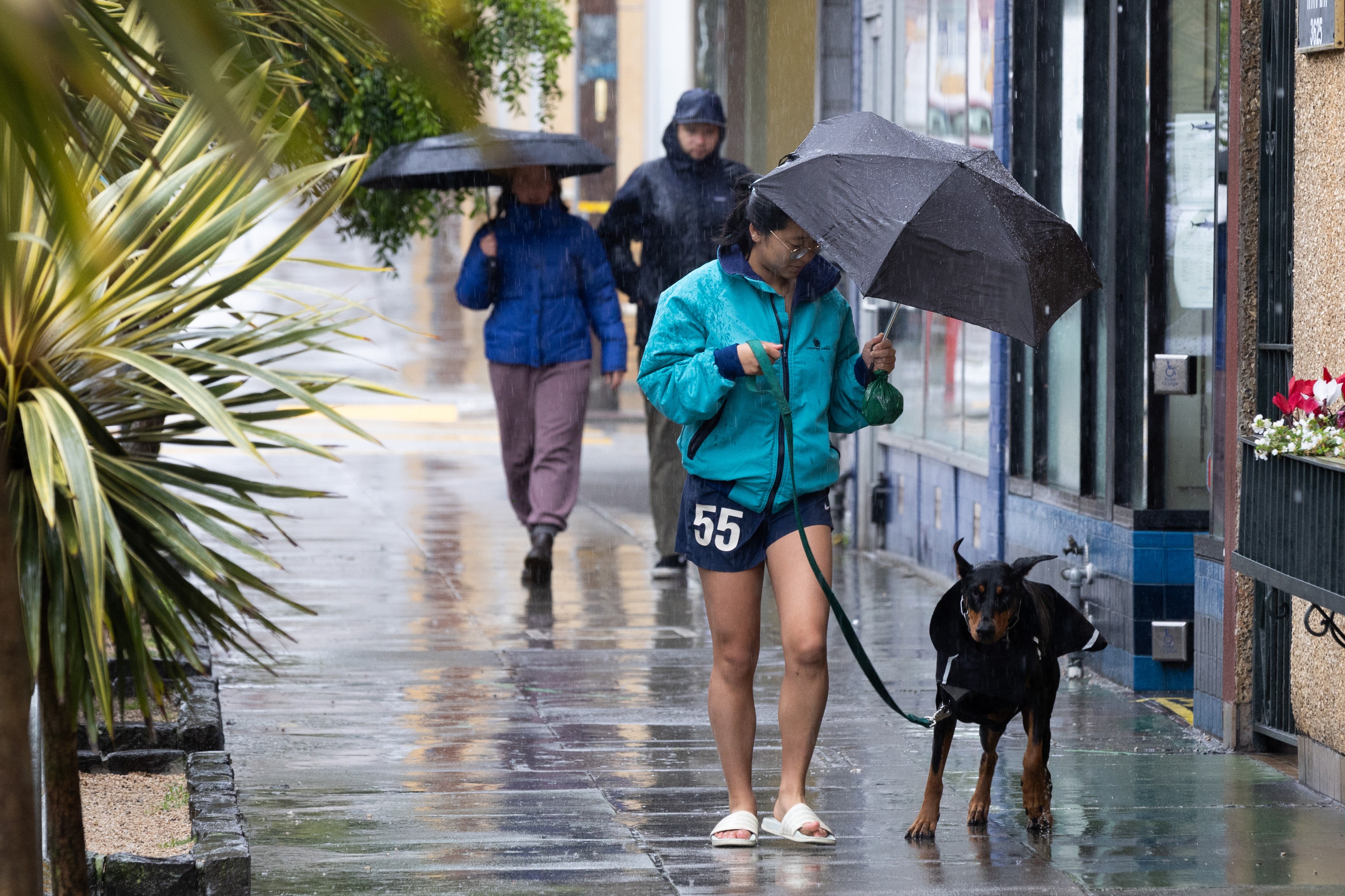 A woman holding an umbrella walks her dog in the rain.