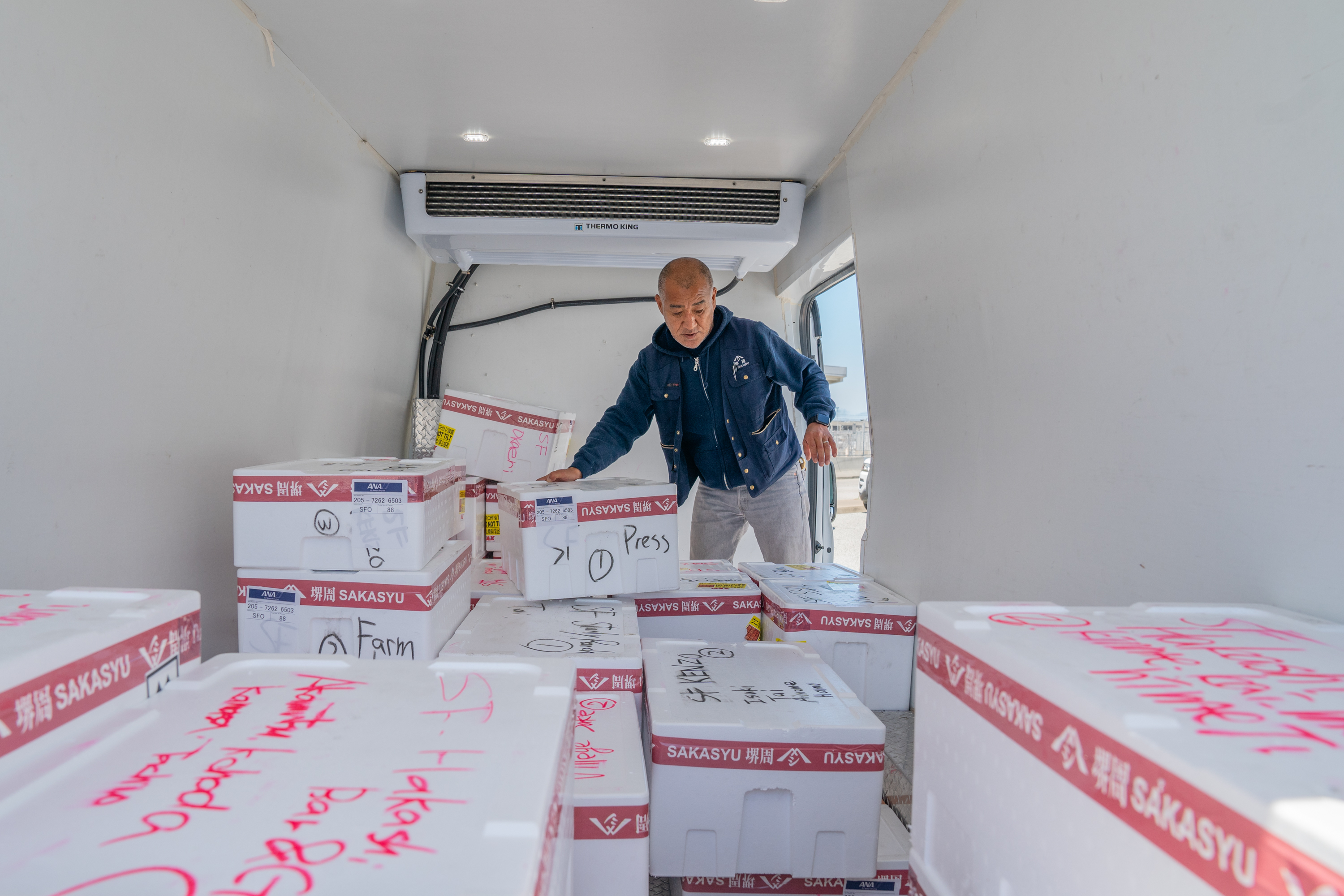 A man is inside a refrigerated truck filled with stacked white boxes labeled &quot;Sakasyu.&quot; He is organizing or inspecting the boxes.