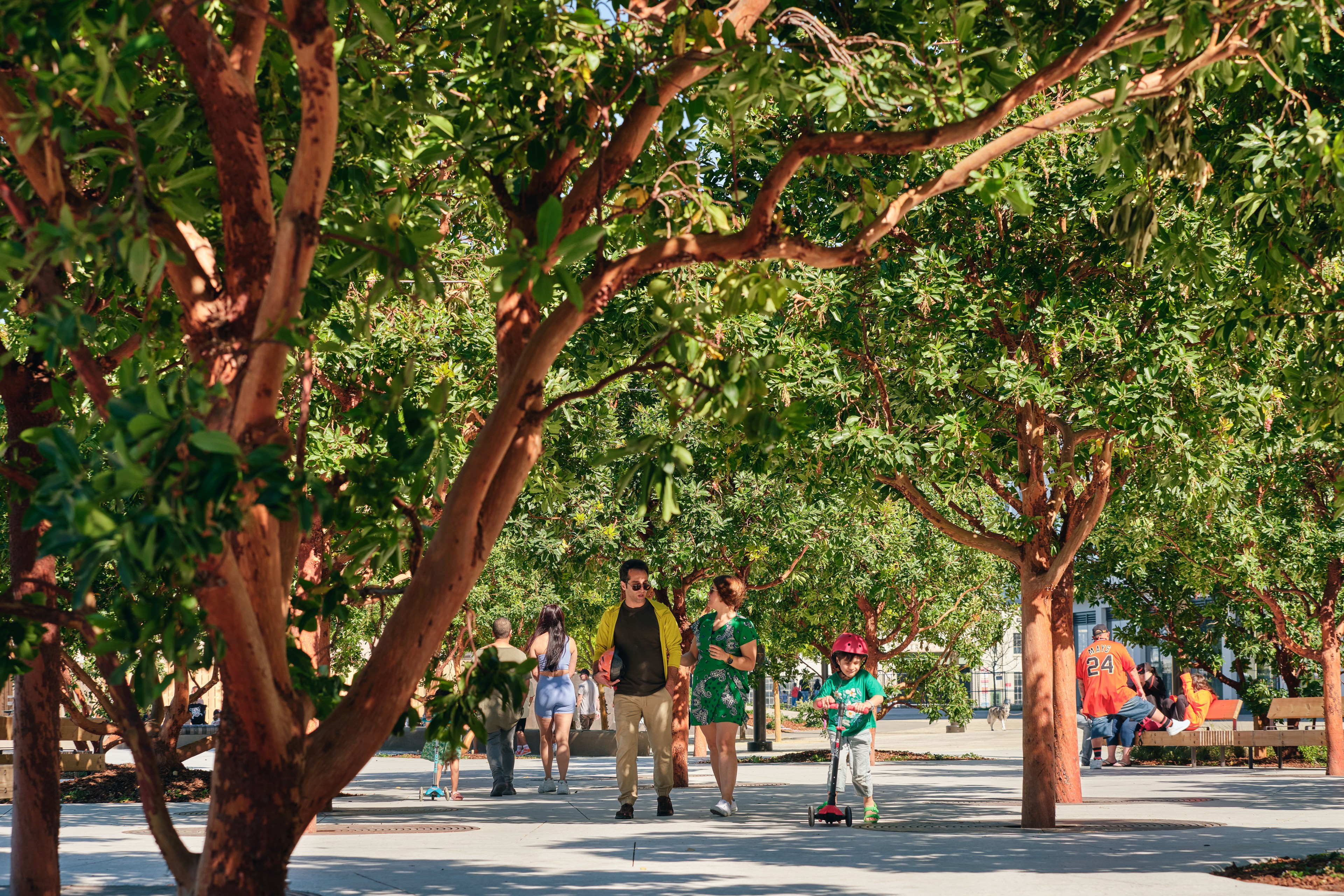People walk and play under sunlit trees in a lively park.