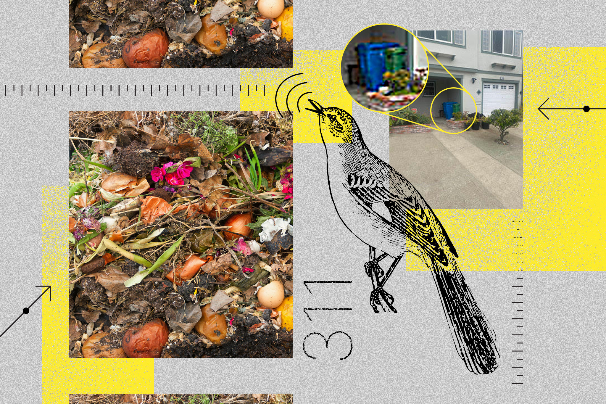 The image features a collage with photos of compost, an illustration of a bird, and an inset of bins outside a house, incorporating yellow highlights and graphic elements.