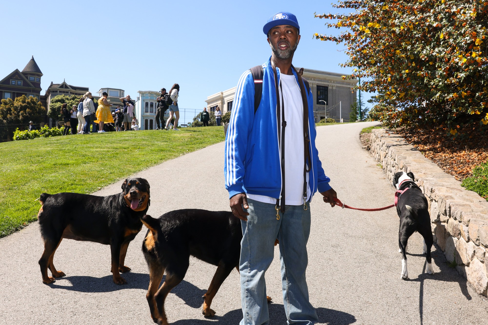 A man in a blue jacket and cap walks two dogs on a sunny park path. People stand on a grassy hill, and trees with autumn leaves line the walkway.