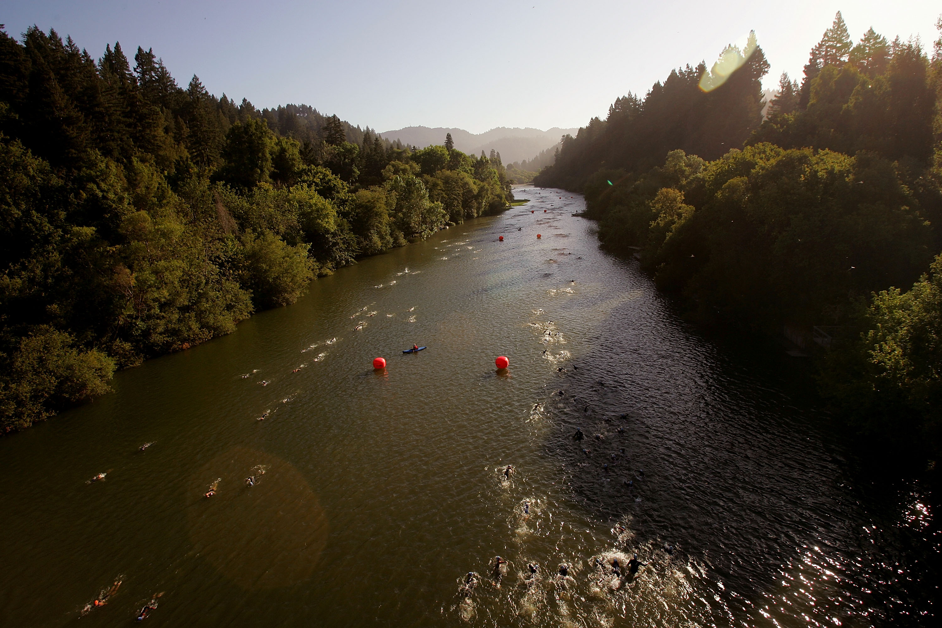 A river, surrounded by dense trees on both sides, has numerous swimmers spread out across it, with orange buoys and a person in a kayak visible among them.