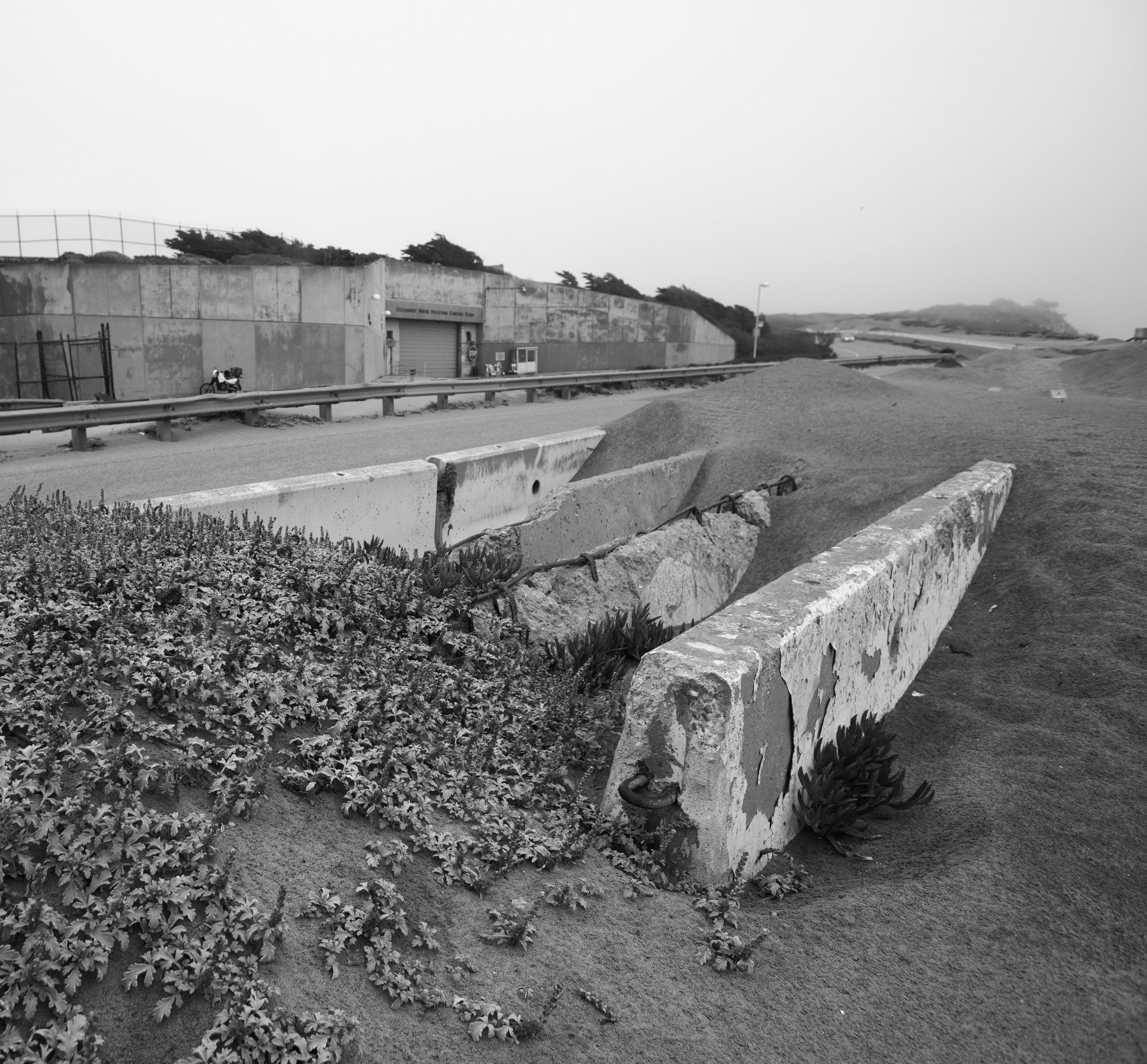 The image shows an overgrown, abandoned area with concrete barriers and structures. The background includes a weathered wall, a fence, and a distant foggy landscape.