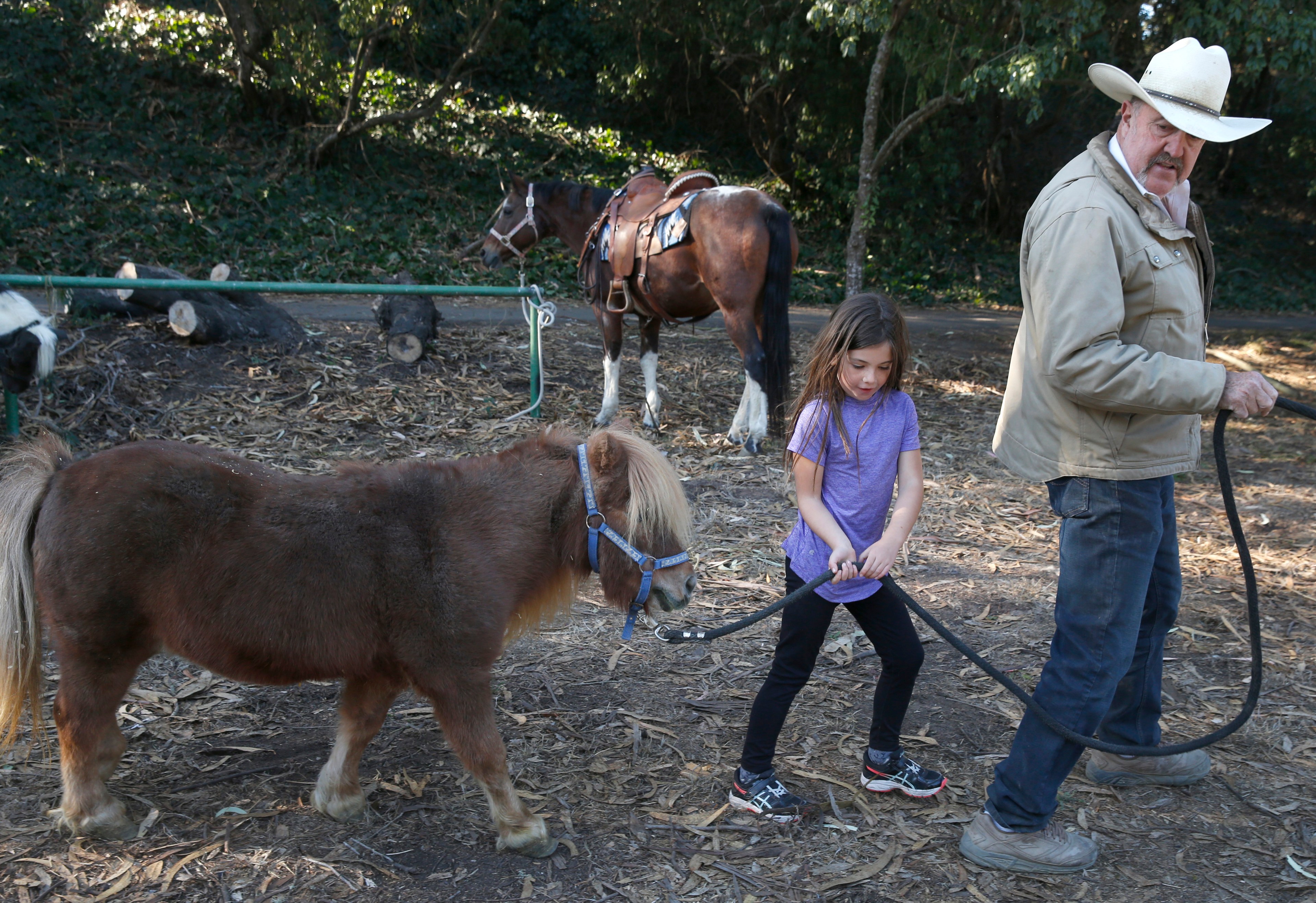 A girl leads a small pony, watched by an older man in a cowboy hat, near other horses and logs in a rustic setting.