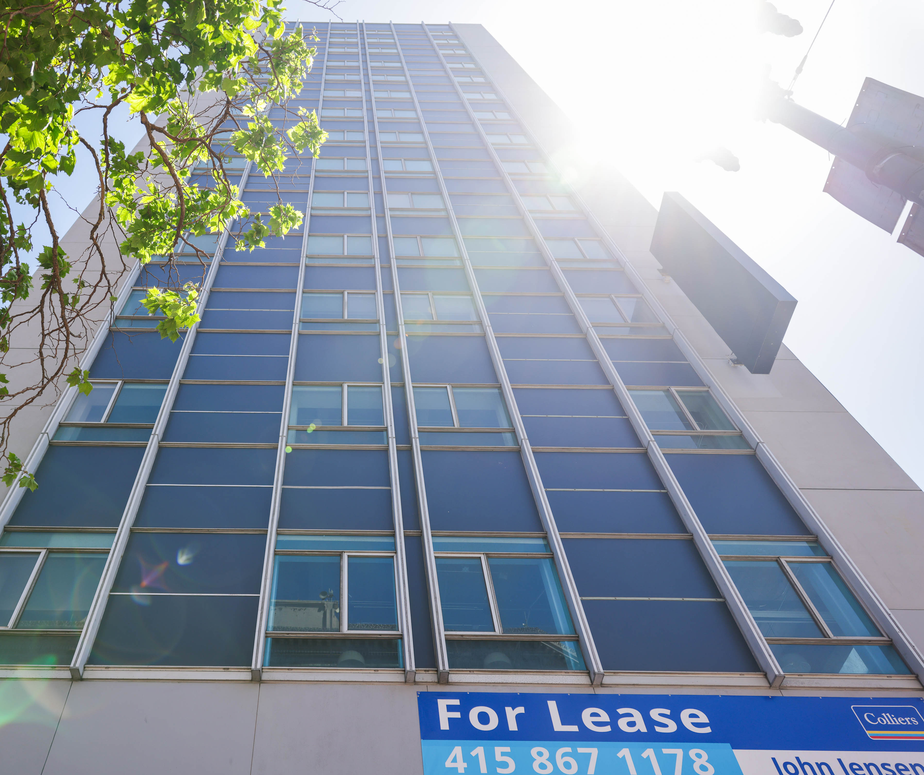 A sunlit blue facade of a high-rise with a &quot;For Lease&quot; sign and a tree's foliage at the bottom.