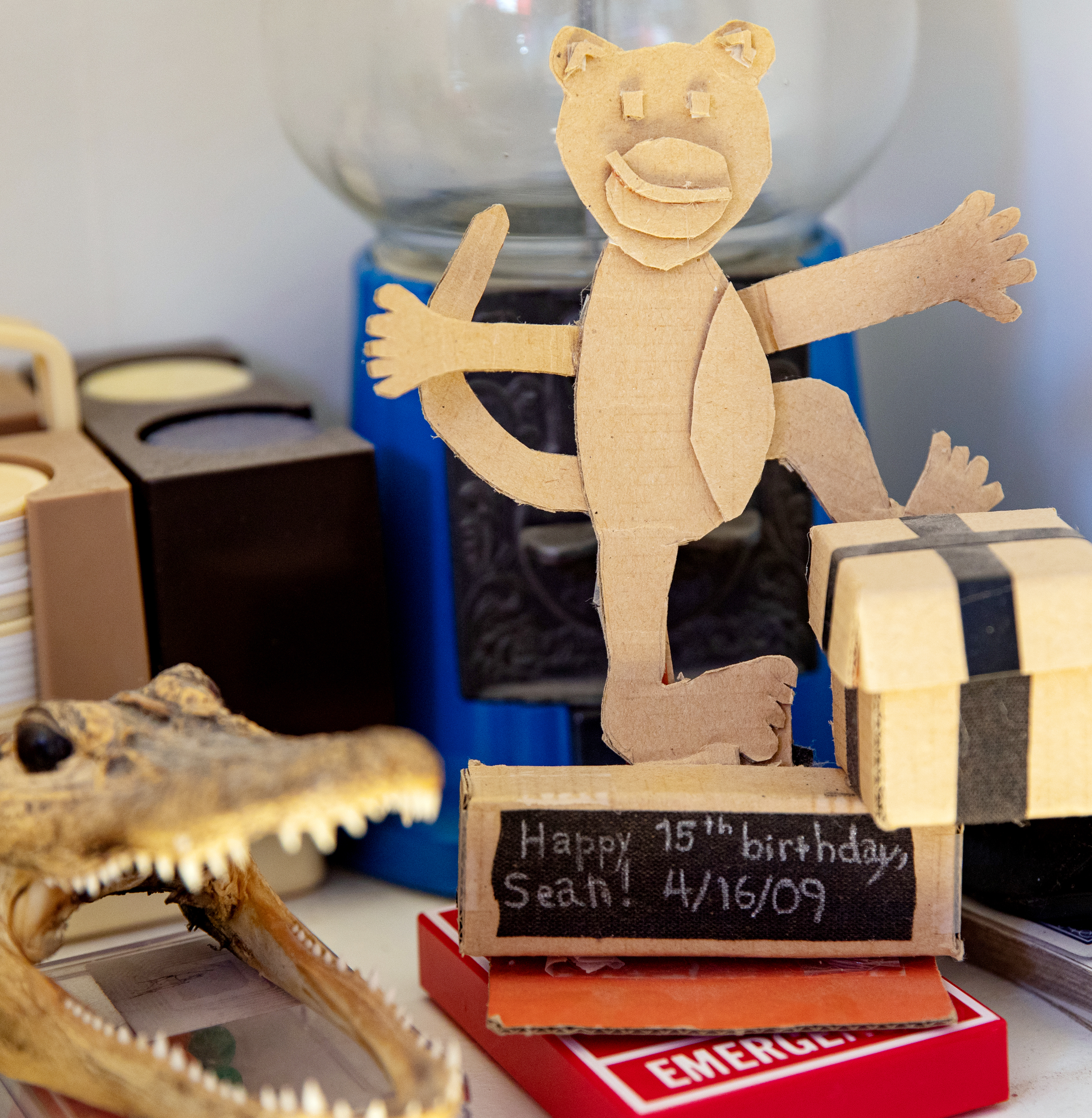 A cardboard bear figure stands near a crocodile skull and a birthday message on a shelf.