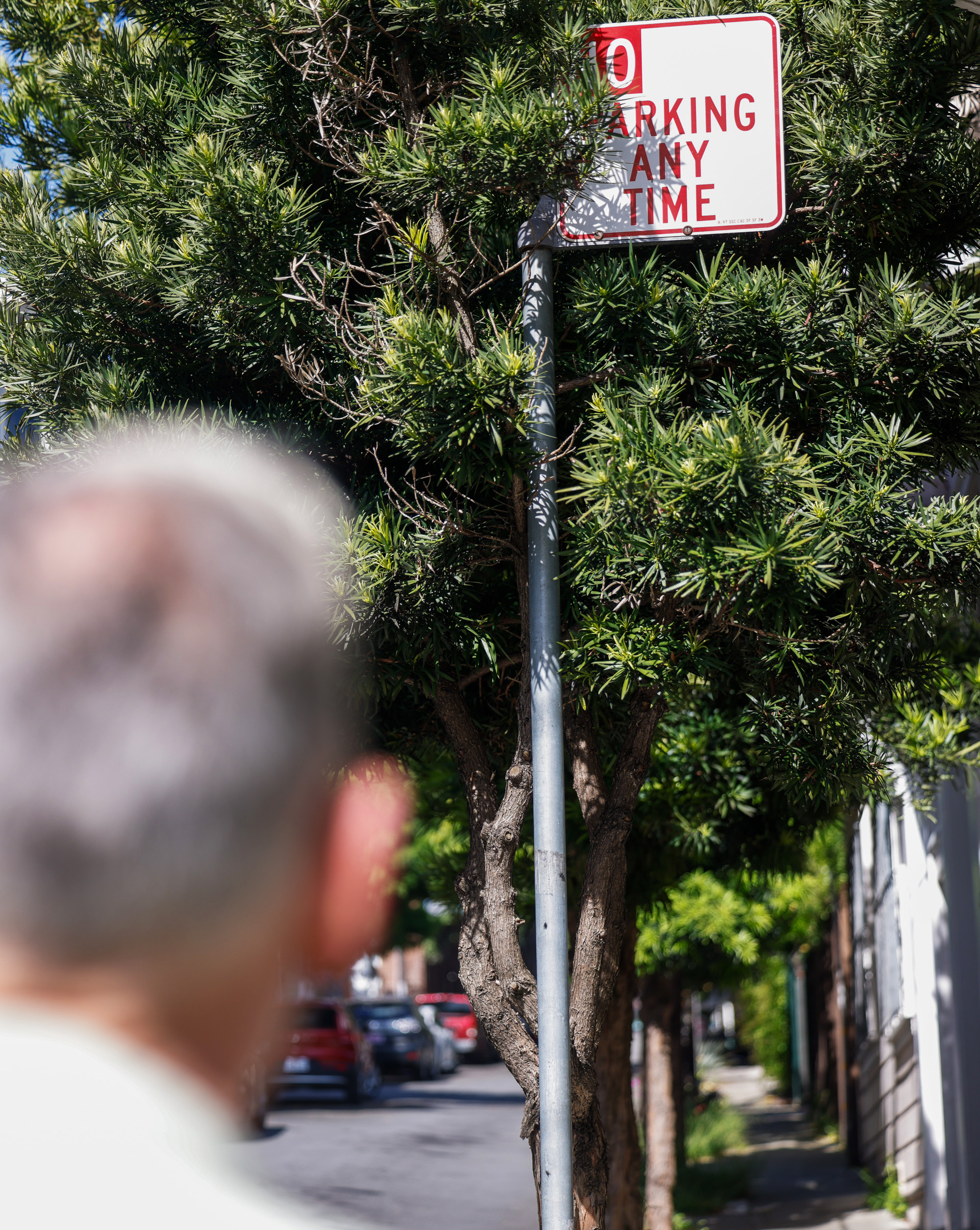 A man observes a street lined with trees, focusing on a &quot;No Parking Any Time&quot; sign on a metal pole.