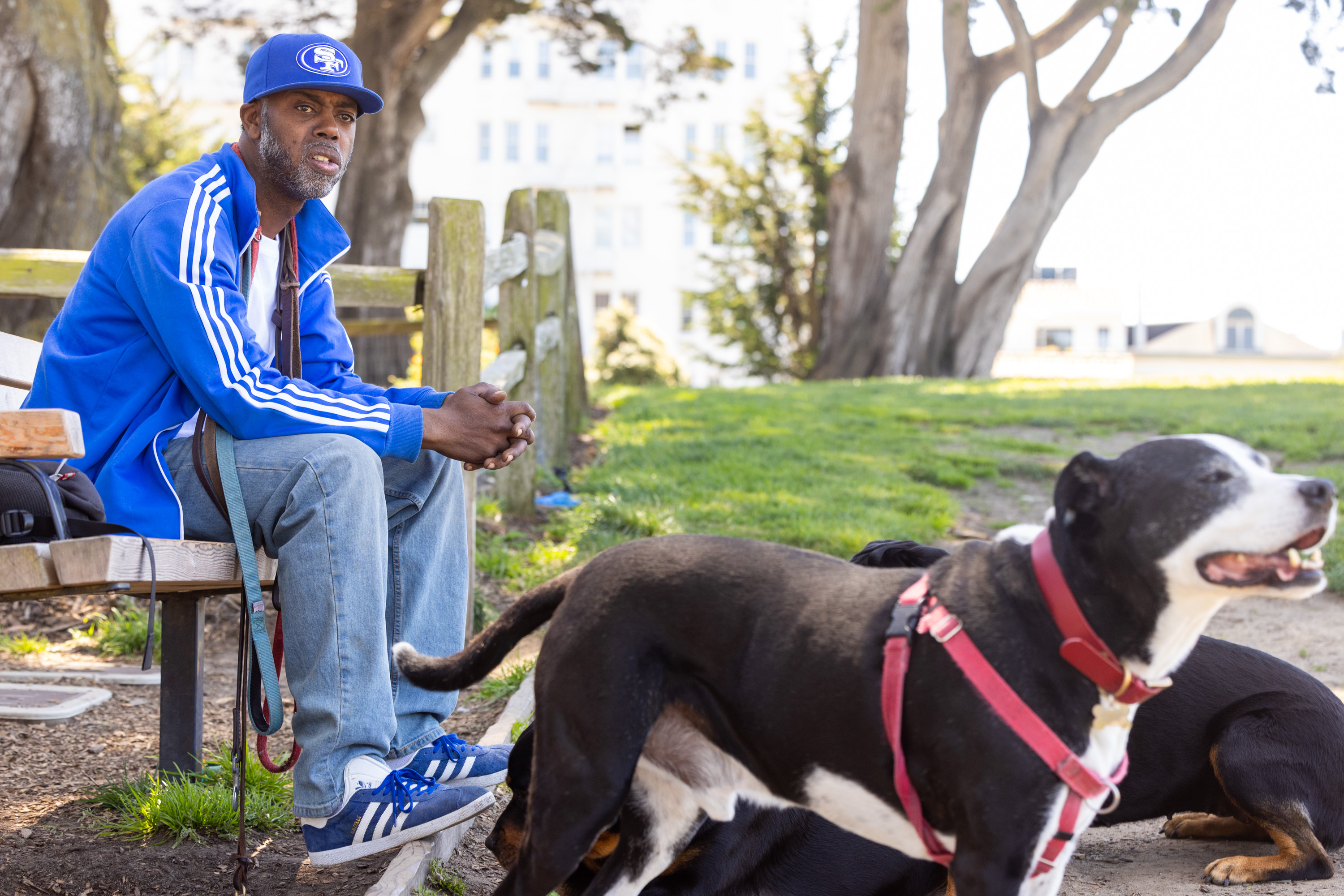 A man in a blue tracksuit sits on a bench beside a playful black and white dog in a park.