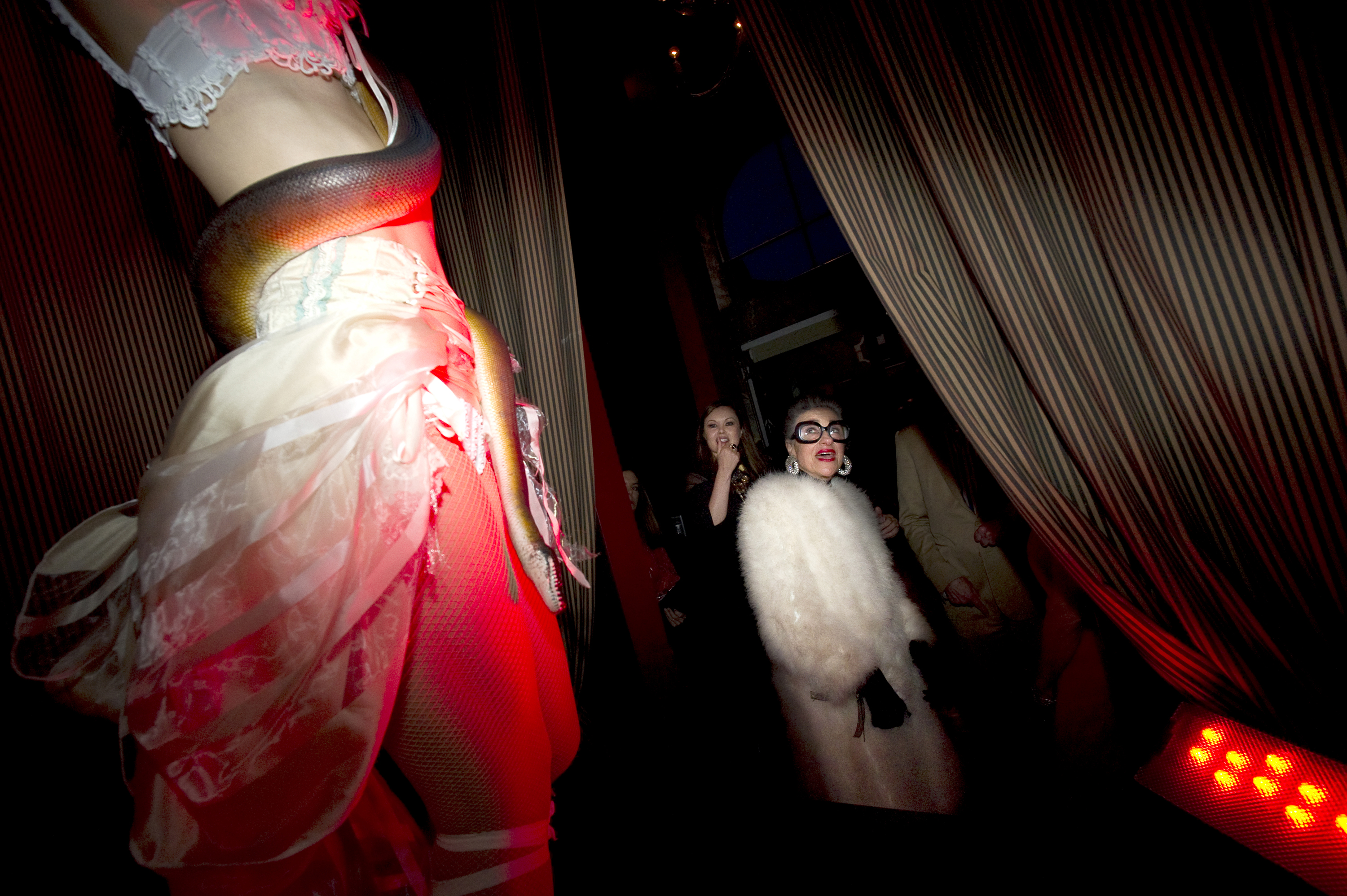 A performer in lingerie with a snake around their body is illuminated by red light. Onlookers, including a woman in a fur coat and large glasses, watch from the side.