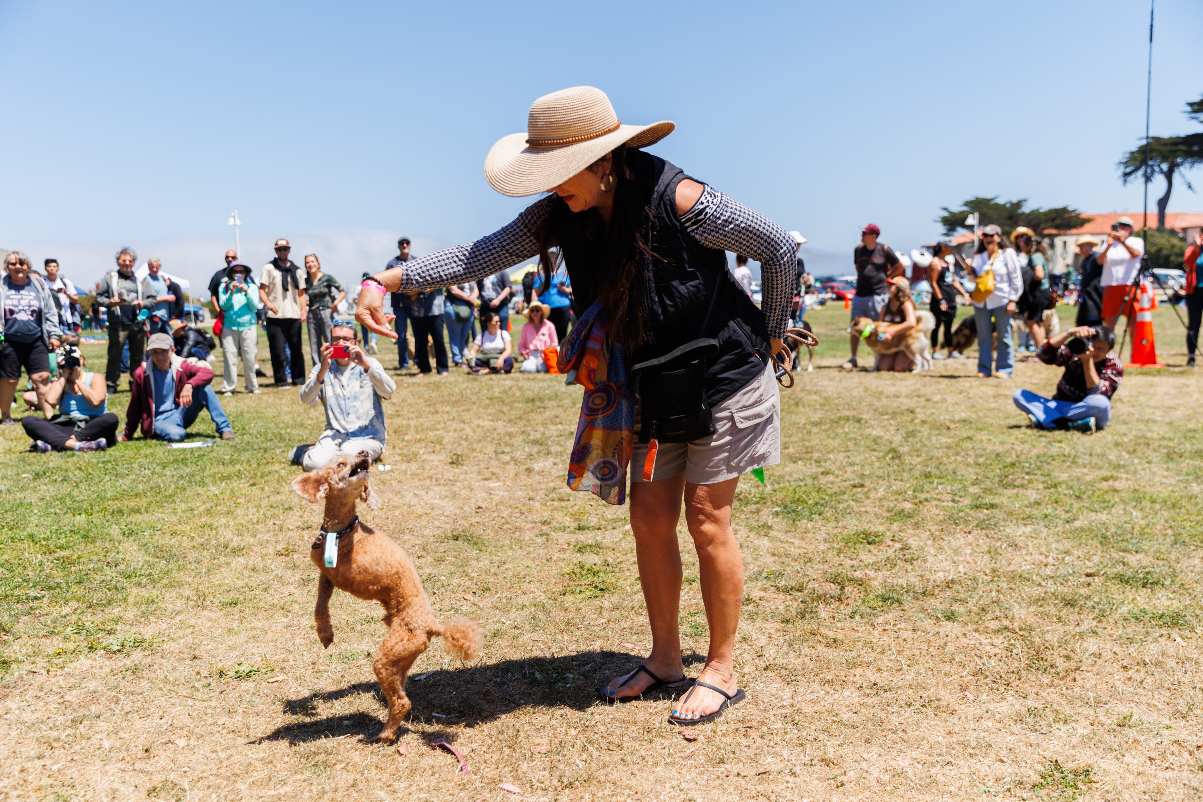 A woman in a large hat is holding a treat and guiding a small brown dog to jump. People are gathered in the background, some taking photos or watching attentively.