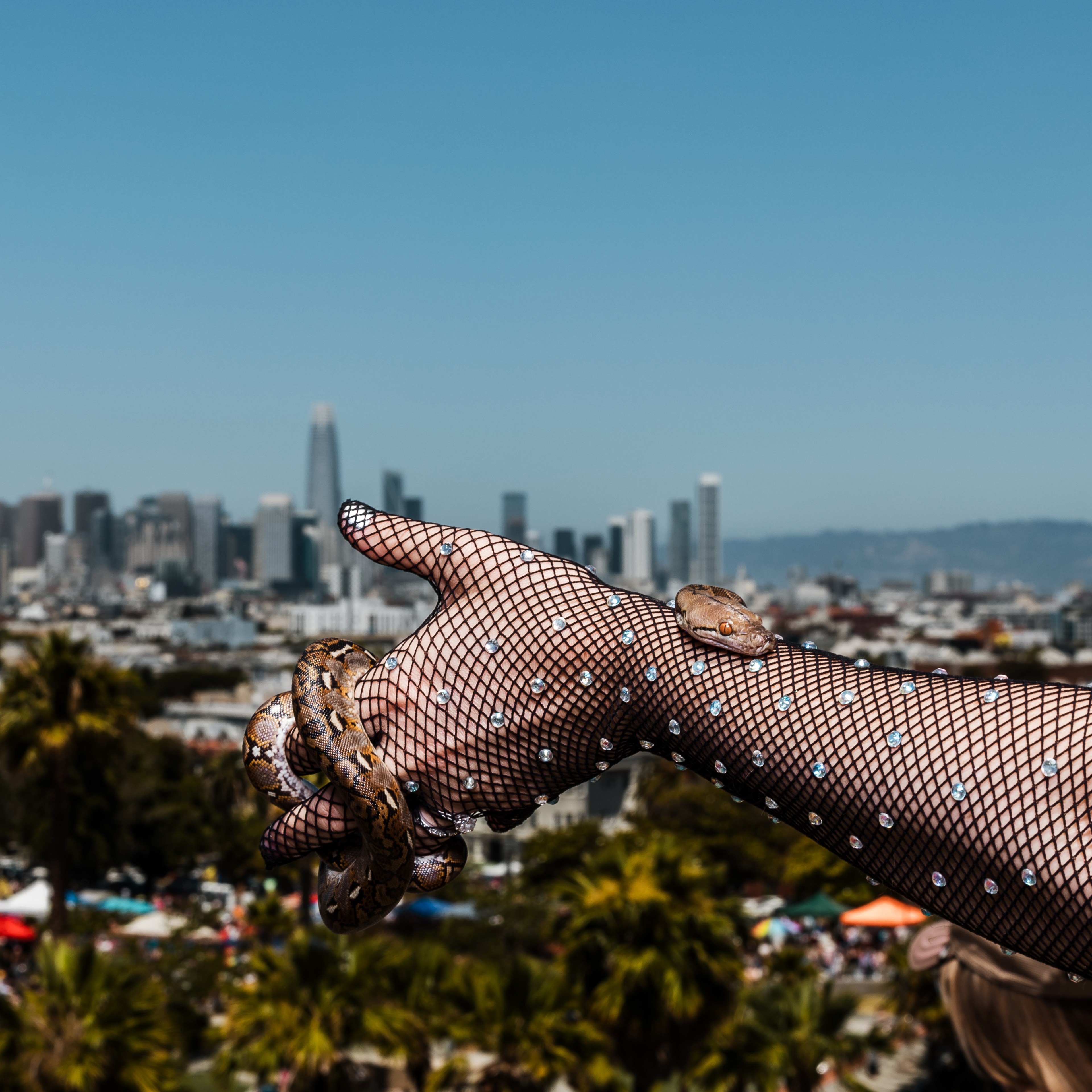 A person wearing a fishnet glove with rhinestones holds a snake against a background of a city skyline, featuring skyscrapers and a clear blue sky.