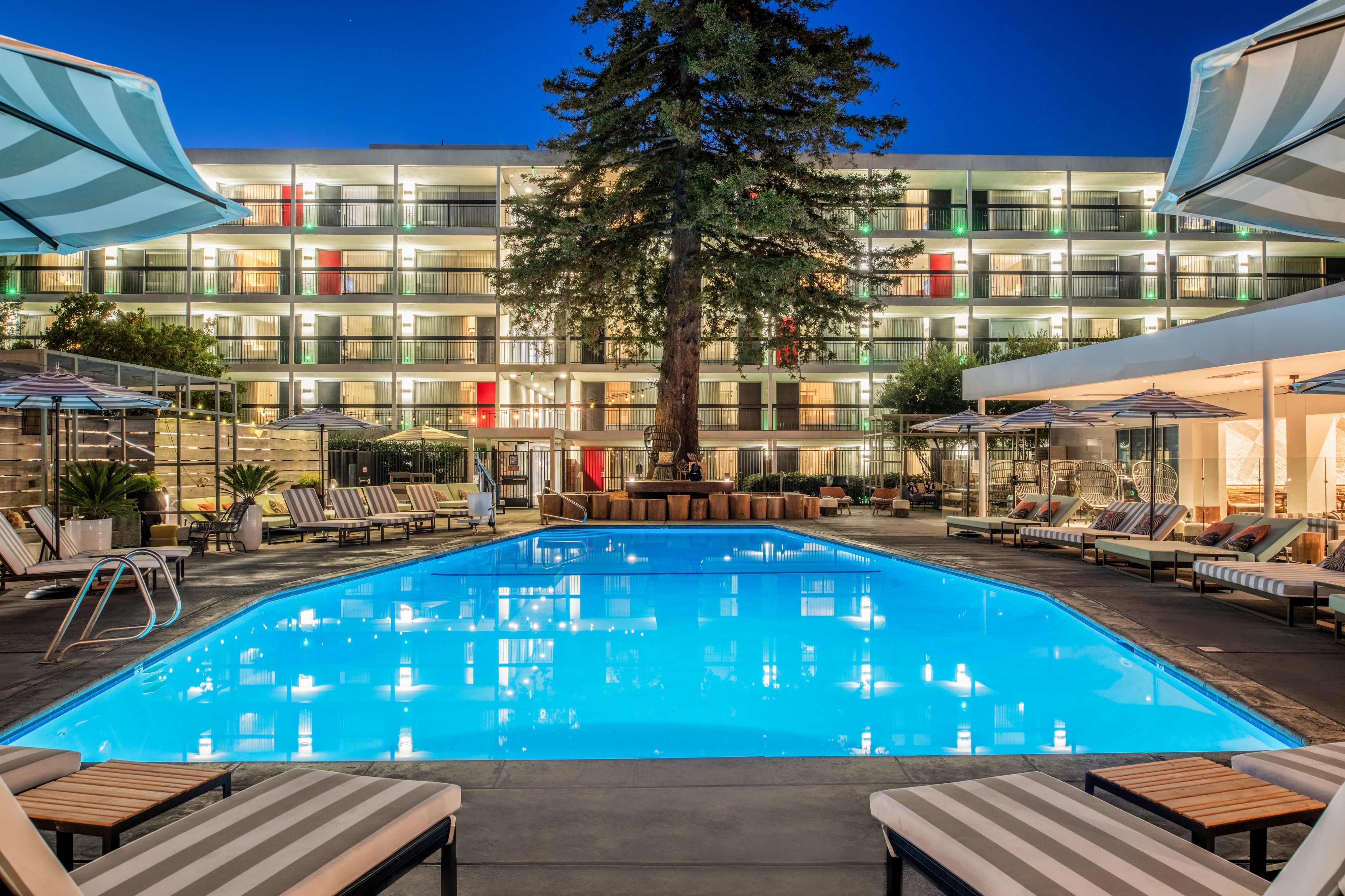 The image depicts a night scene of a brightly lit pool area surrounded by lounge chairs, cabanas, and a multi-story building with balconies, centered by a large tree.