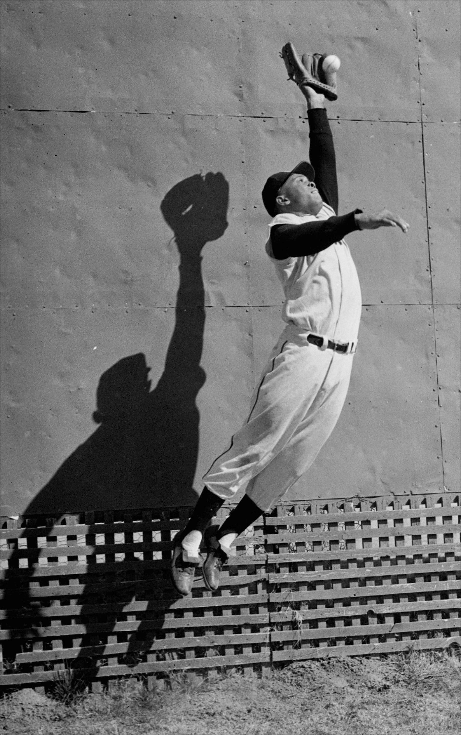 A baseball player in mid-air catches a ball with an outstretched glove against a corrugated fence background. His shadow is visible on the wall behind him.