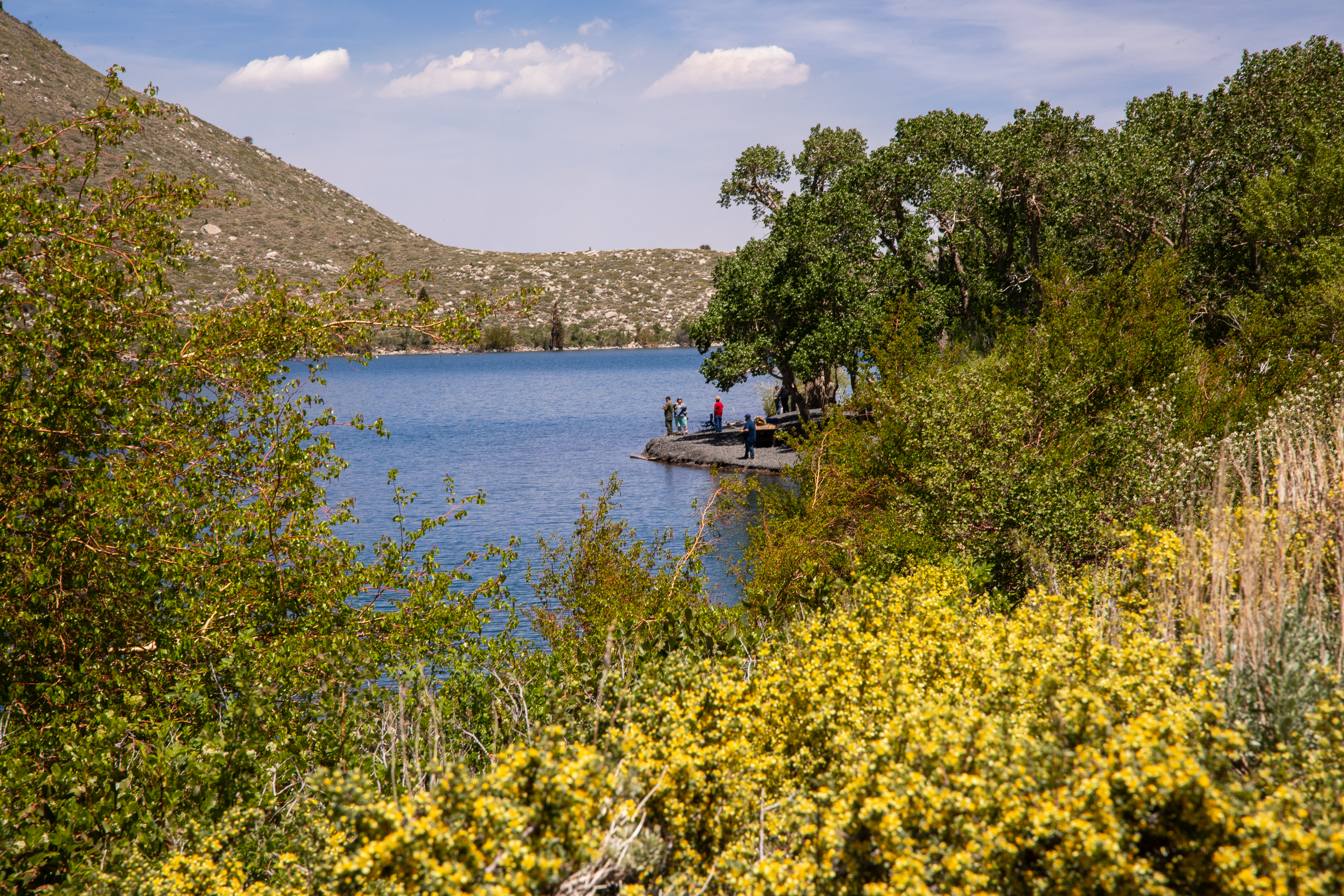 A serene lake surrounded by hills and lush greenery. There are people on a small dock by the water, which is framed by blooming yellow wildflowers and leafy trees.