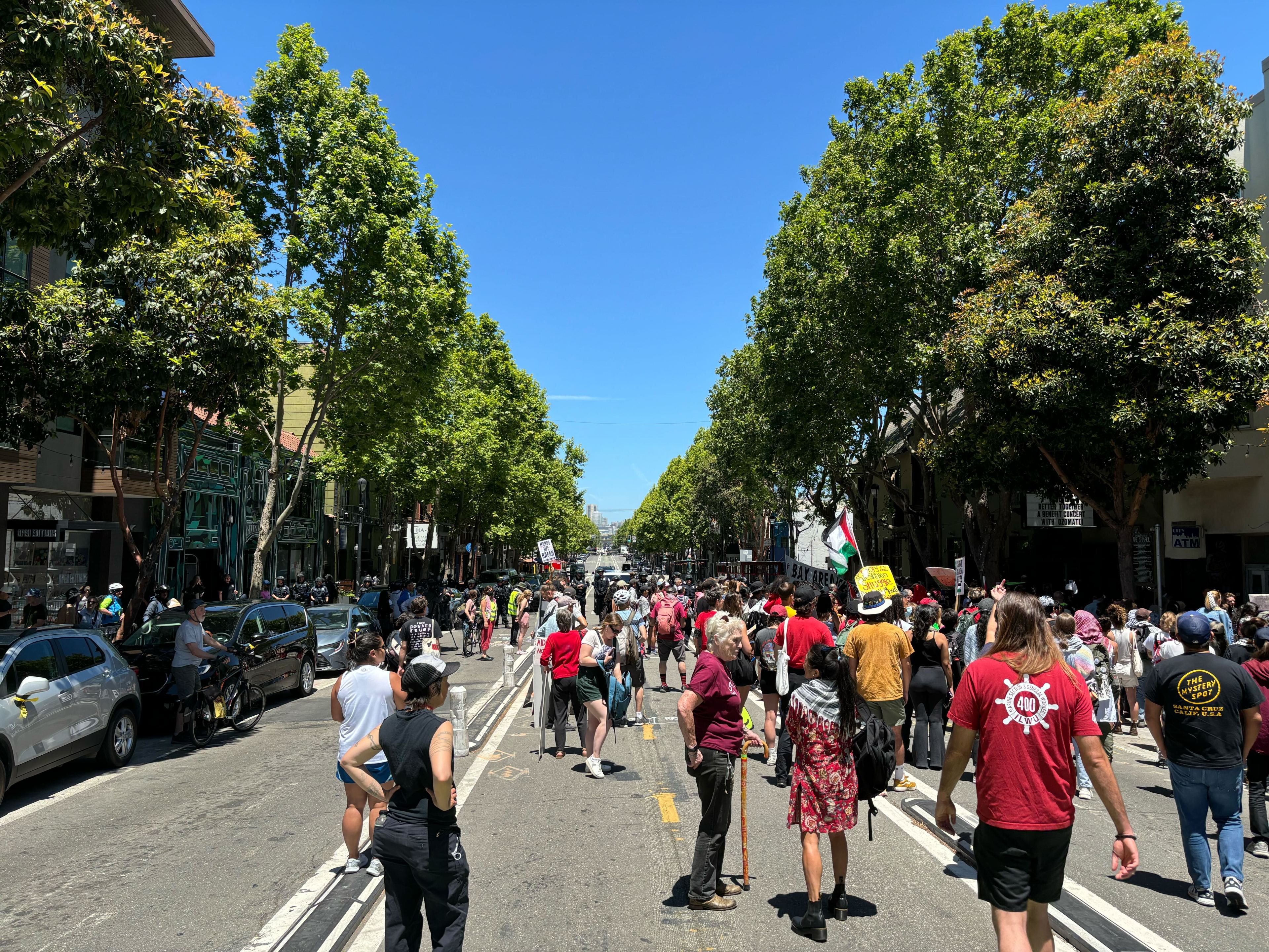 A diverse crowd of people is marching down a tree-lined street on a sunny day, some holding signs. The street is bustling with activity and surrounded by parked cars.