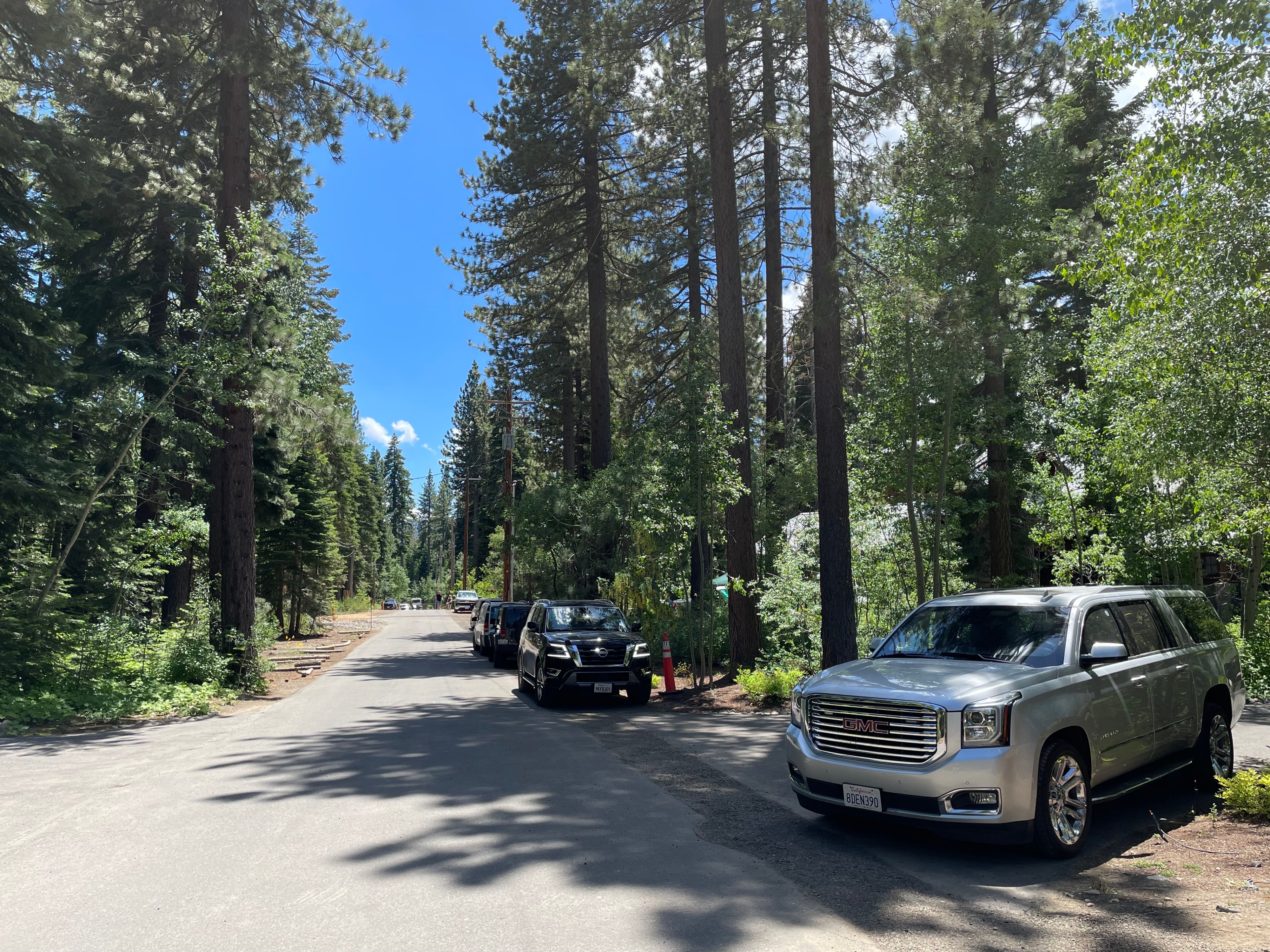 The image shows a paved street lined with tall trees on both sides and several parked cars, including a silver GMC SUV in the foreground on a sunny day.