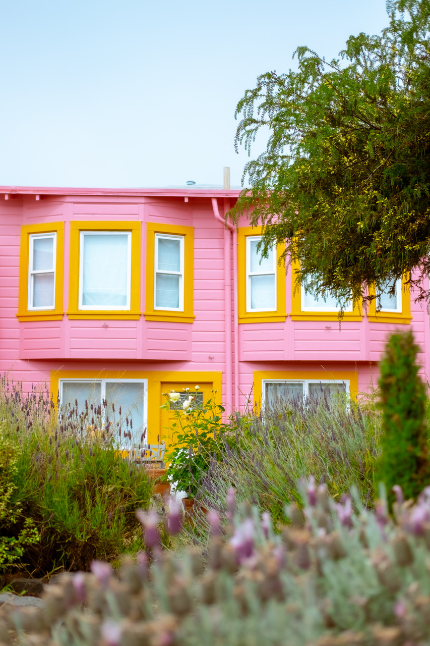 The image shows a vibrant pink house with yellow window and door trim, lush green garden, lavender plants, and a large tree partially obscuring the view.