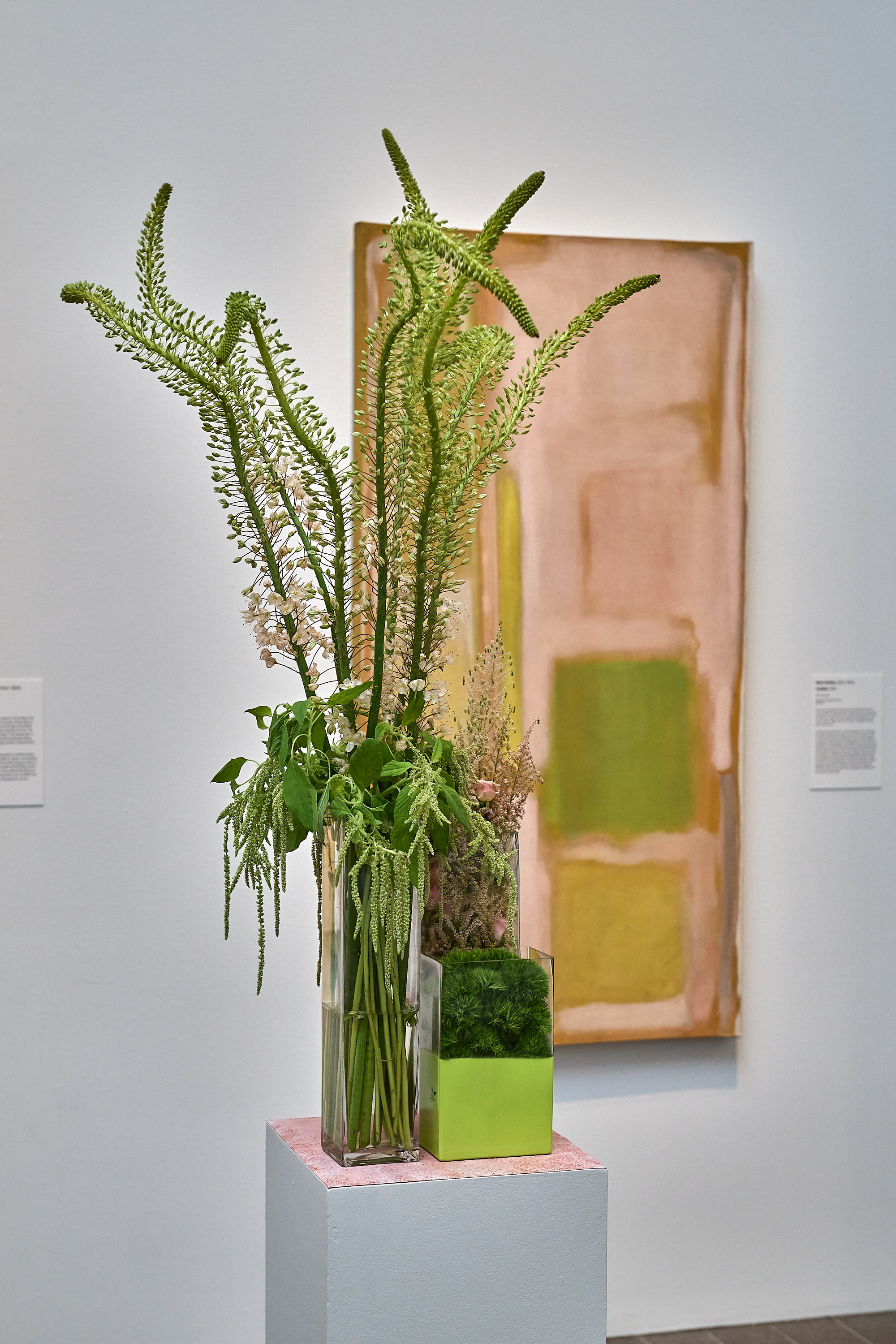 A glass vase filled with tall, green plants sits on a pedestal. Behind it, there's an abstract painting with muted pink and green colors on a white wall.