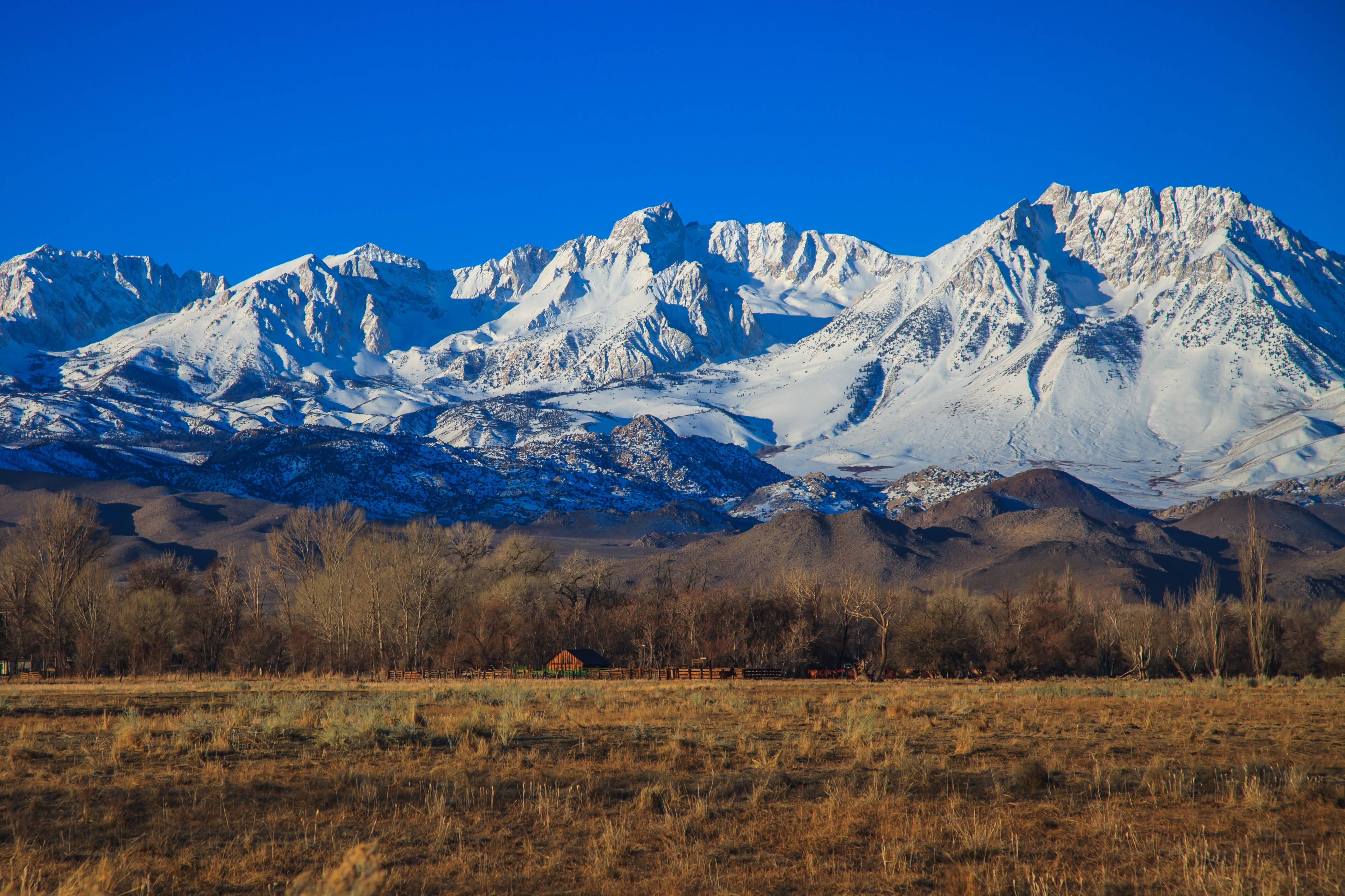 Snow-covered mountains tower against a clear blue sky, with leafless trees and a brown field in the foreground. A small, red-roofed structure is nestled among the trees.