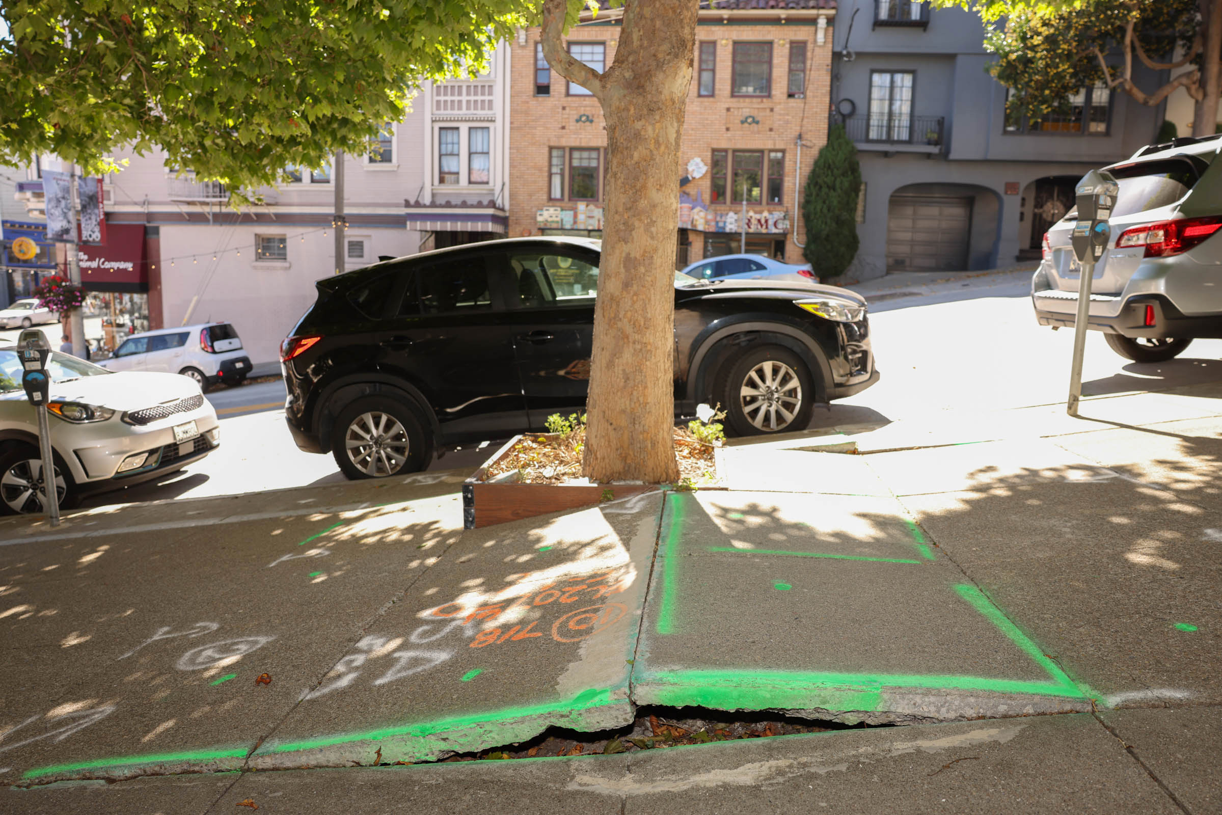 A damaged sidewalk with a tree and three parked cars. The concrete is cracked and marked with green and orange paint. The street is on a noticeable slope.