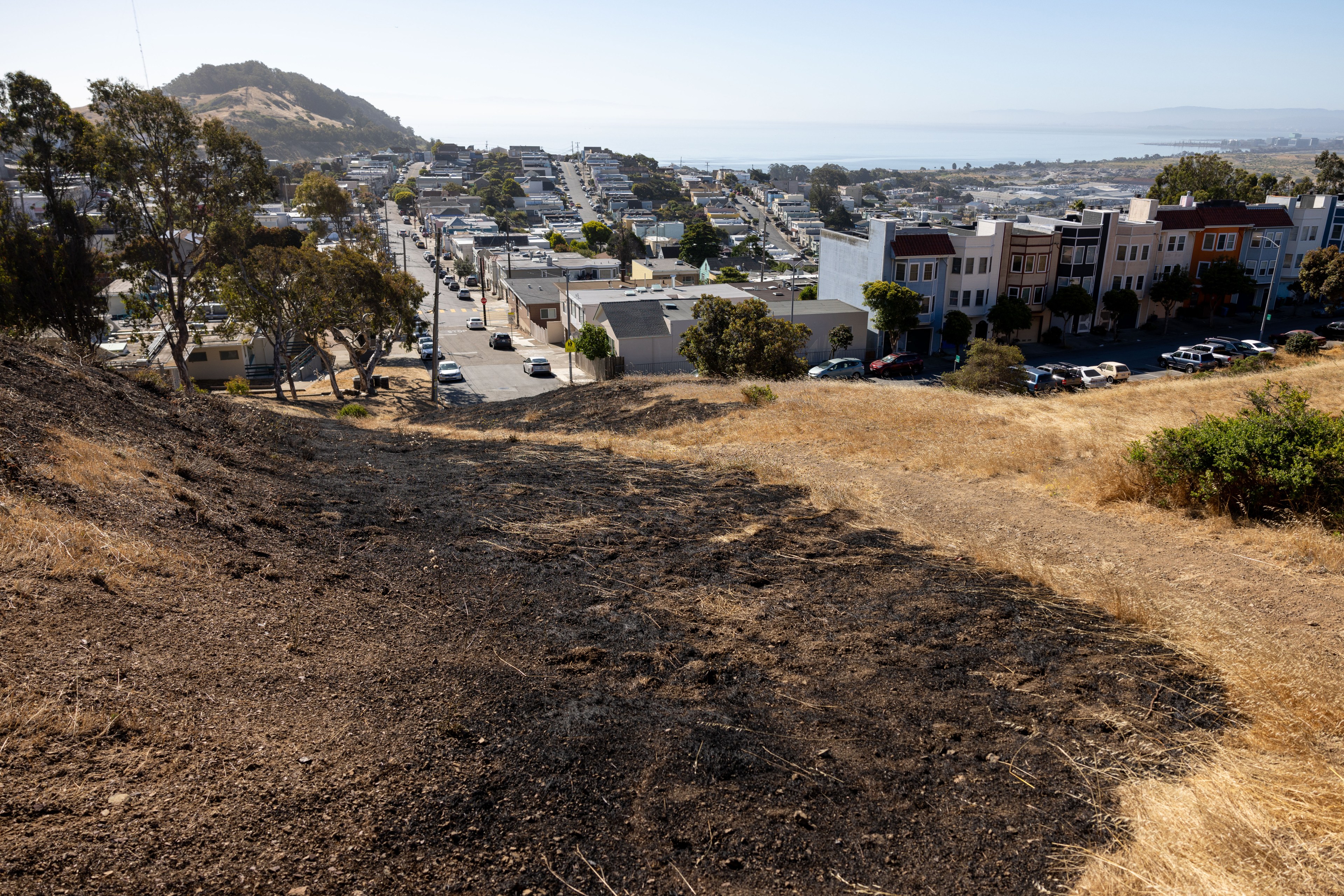 The image shows a hillside with dry grass and patches of charred ground, leading down to a suburban area with houses, trees, and distant views of water and mountains.