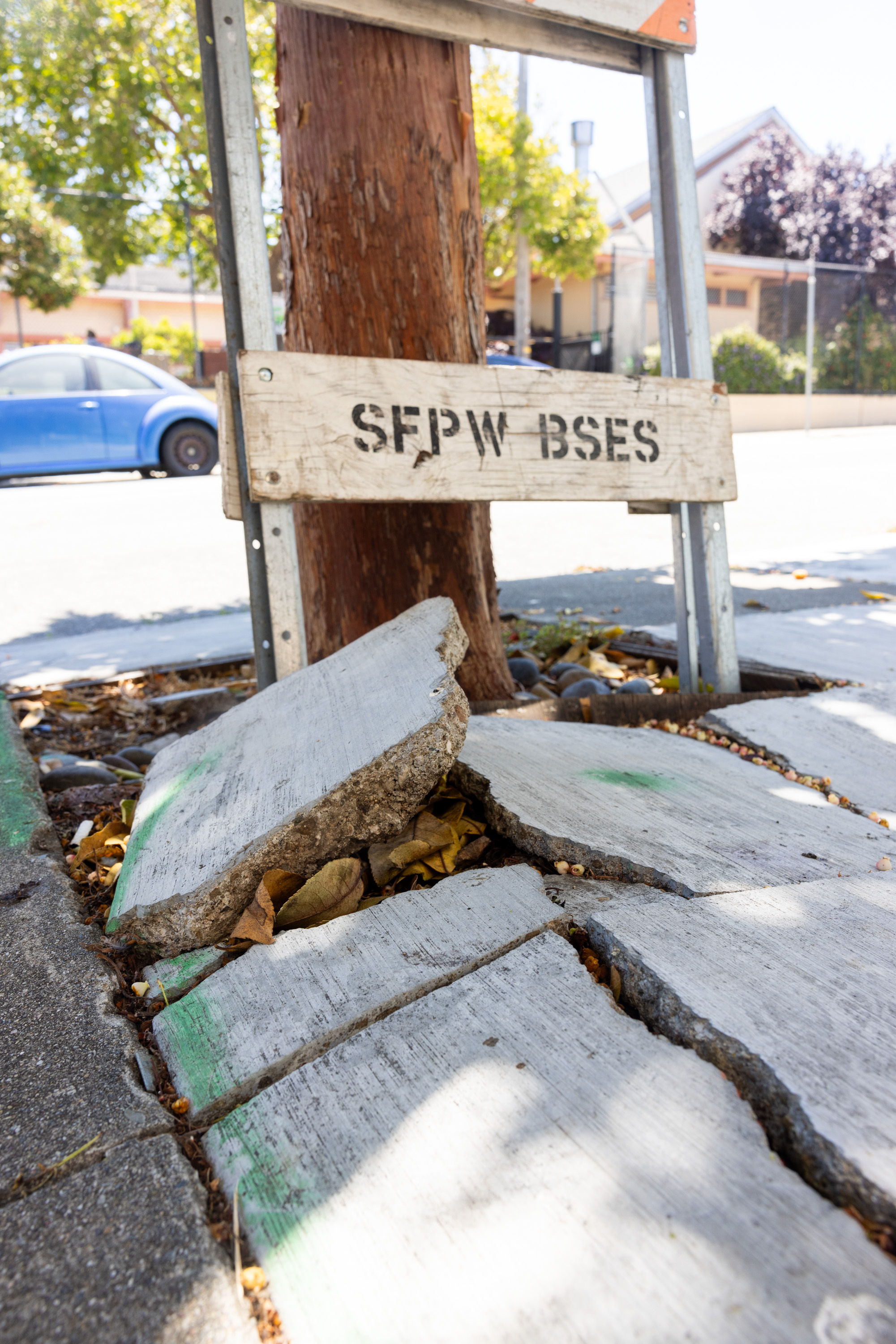 A cracked sidewalk with displaced concrete slabs surrounds a tree trunk. A wooden sign with &quot;SFPW BSES&quot; is attached to a metal frame next to it. A blue car is parked nearby.