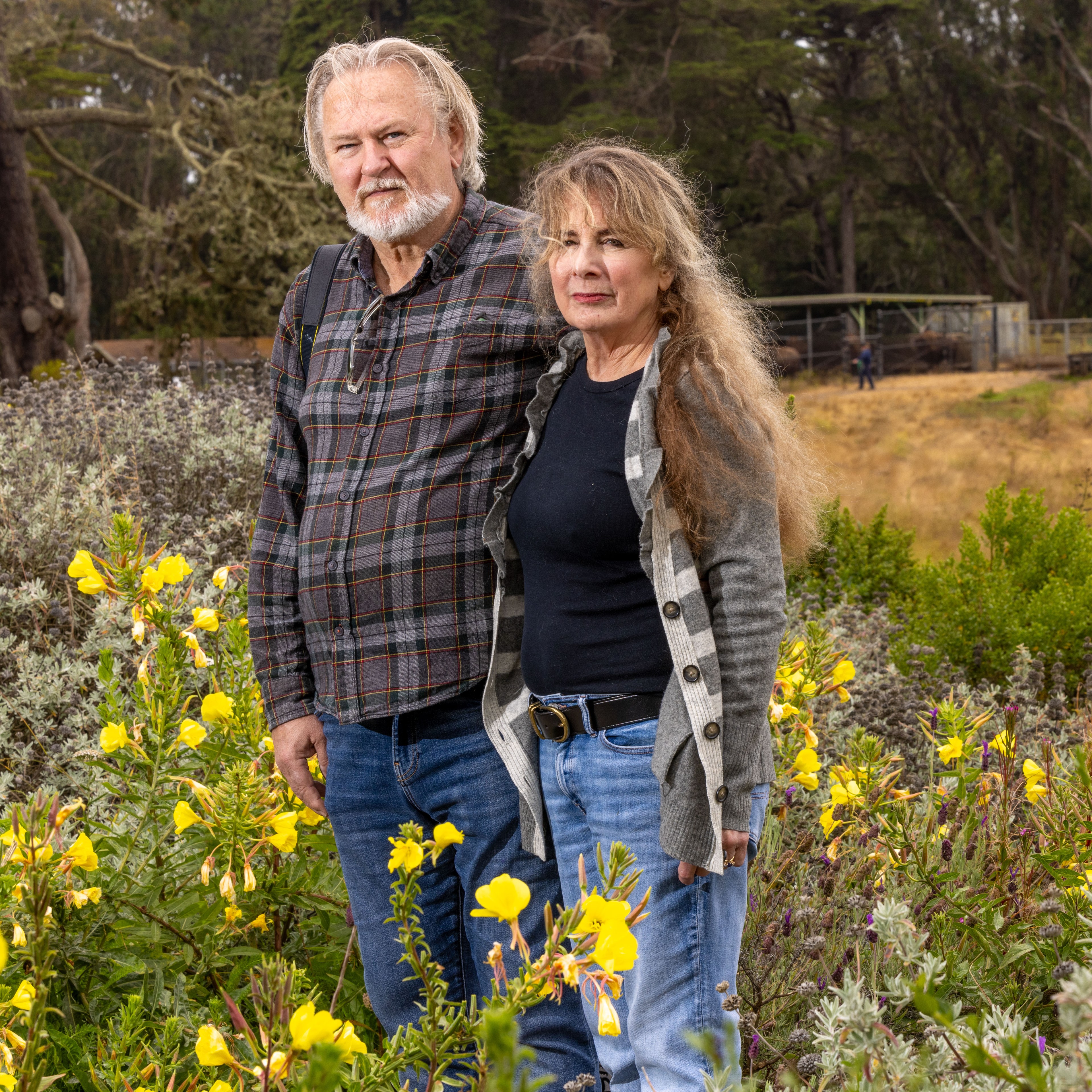 A man and a woman stand side by side in a lush garden filled with yellow flowers, with a backdrop of tall trees and a fenced area in the distance.