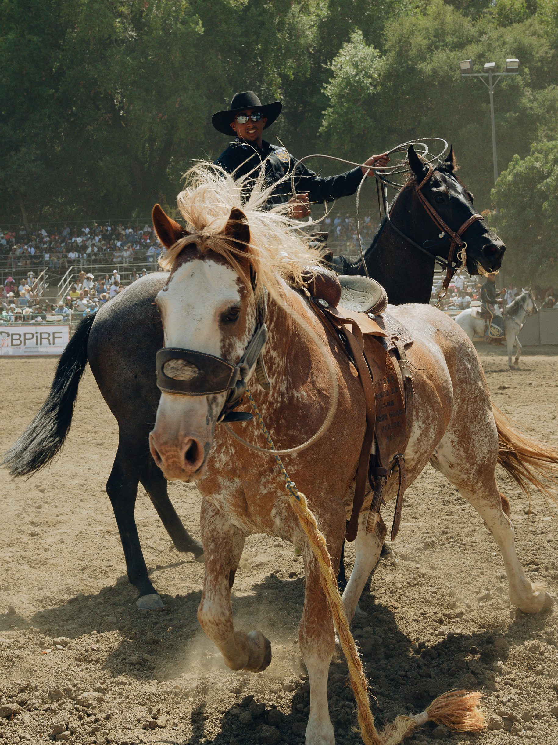 A cowboy wearing a black hat and sunglasses is riding a dark horse and swinging a lasso. Another horse with a blond mane is in the foreground, with a crowd watching.