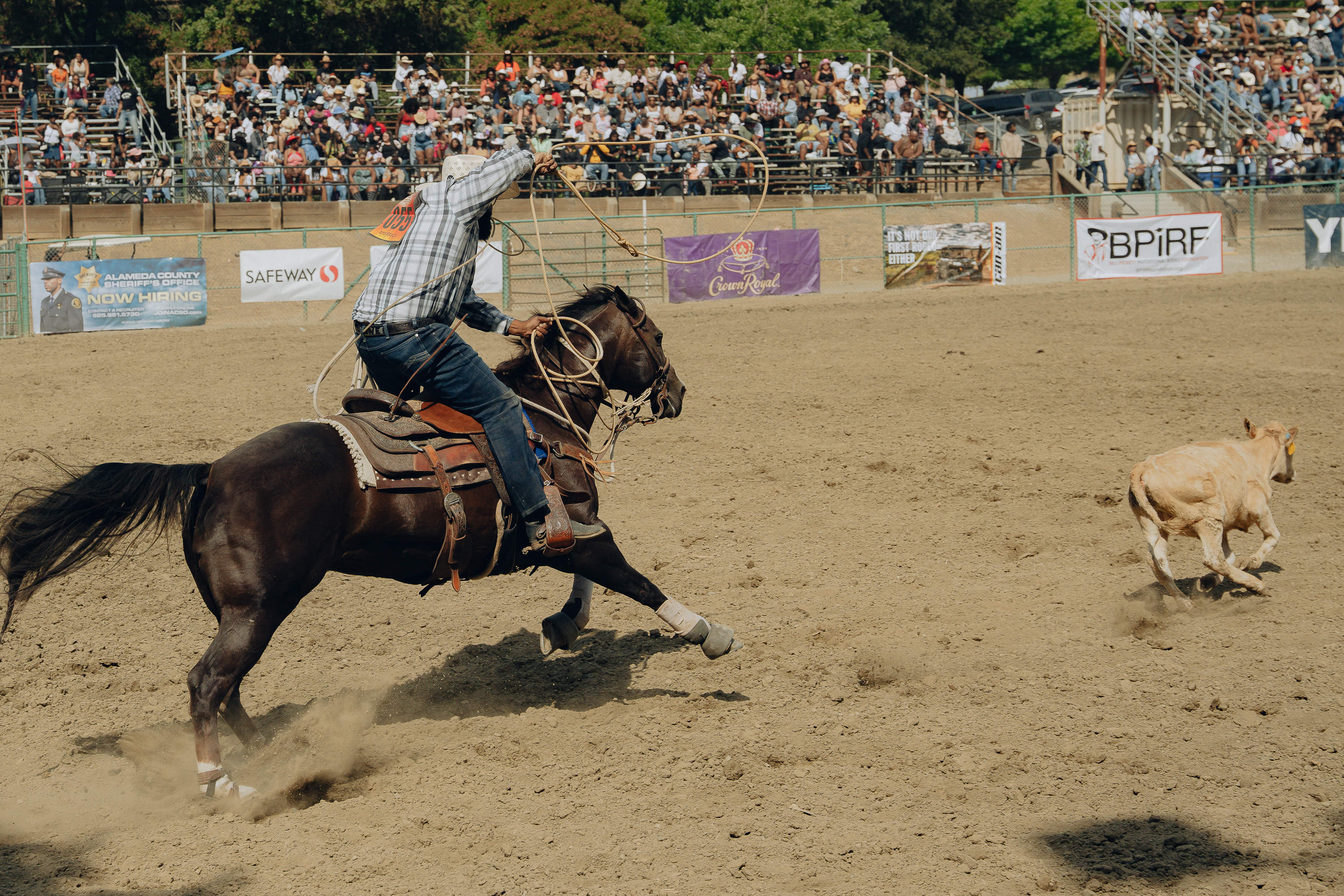 A cowboy on a galloping horse is lassoing a calf in a rodeo arena, with a packed audience watching from the stands in the background.