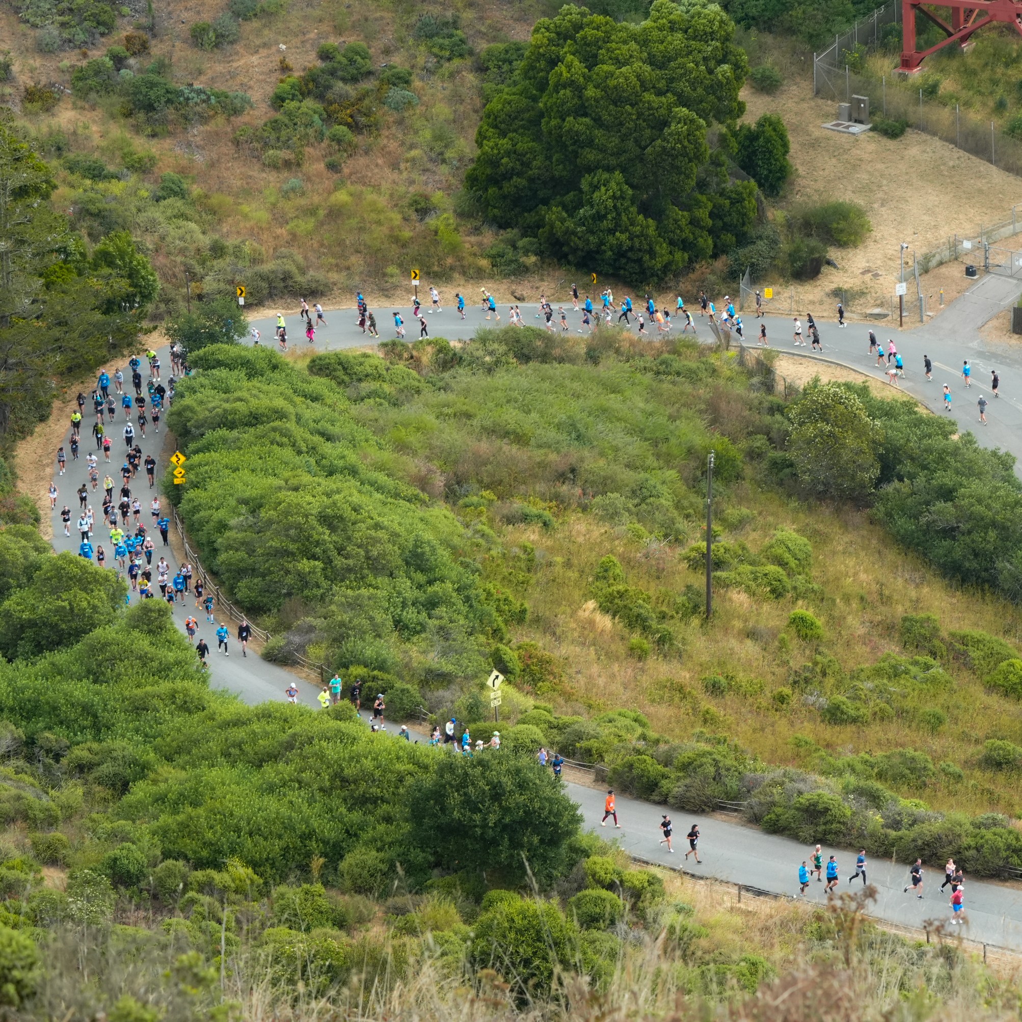 A large group of runners is navigating a winding road through a green, hilly landscape. The road curves sharply and is surrounded by dense, lush vegetation.